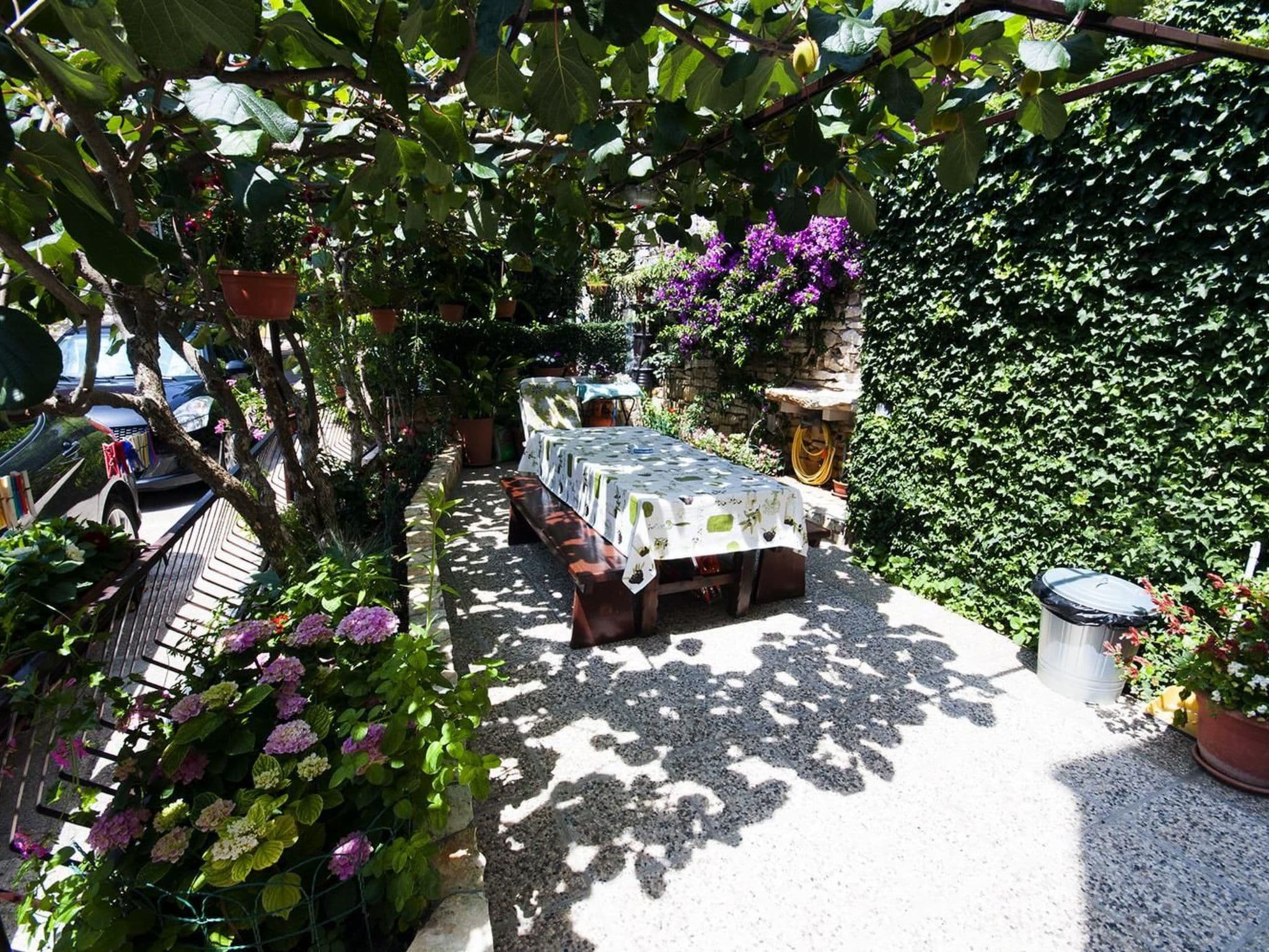 Gallery Image 11