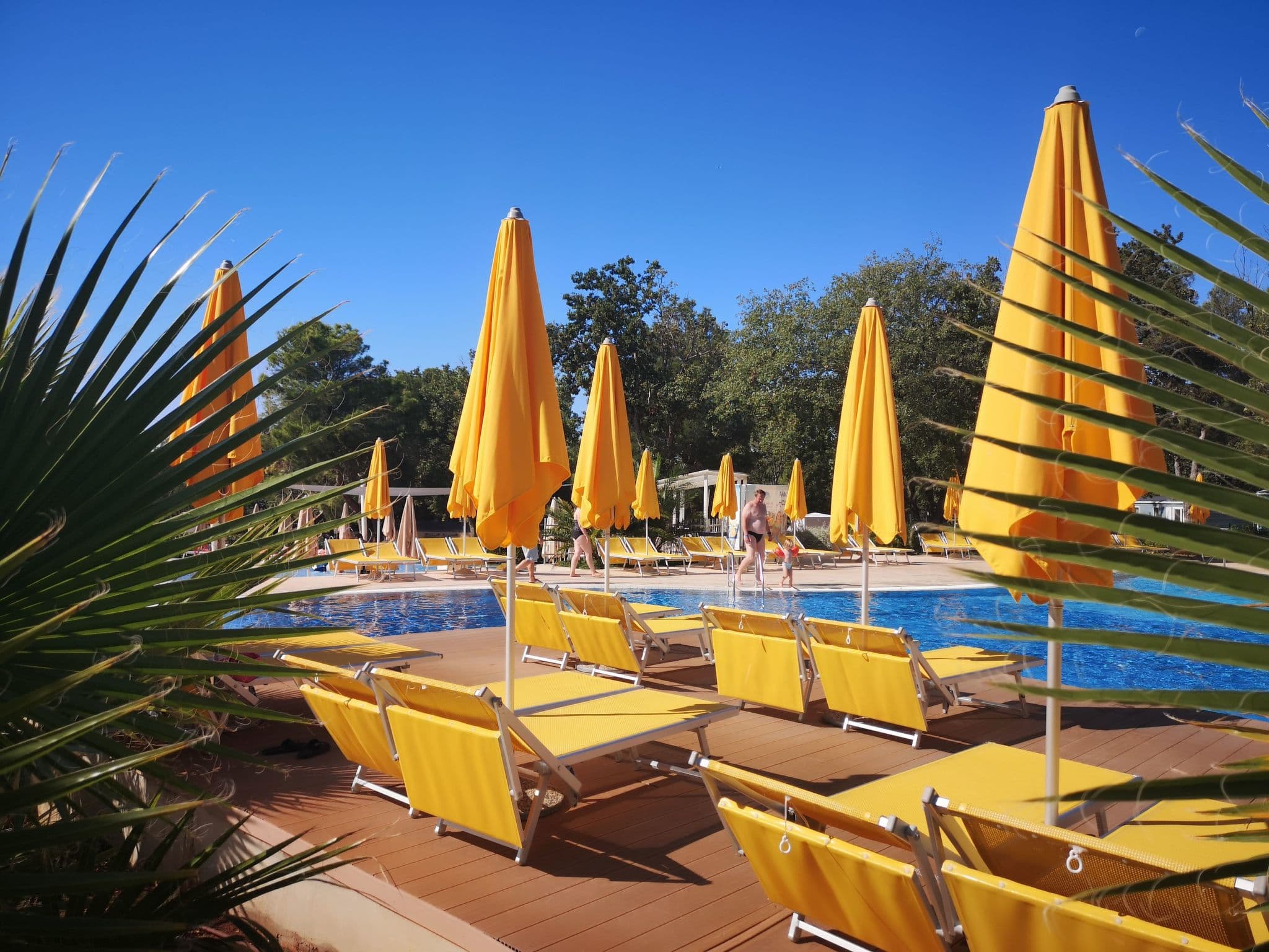 Pool Outdoor