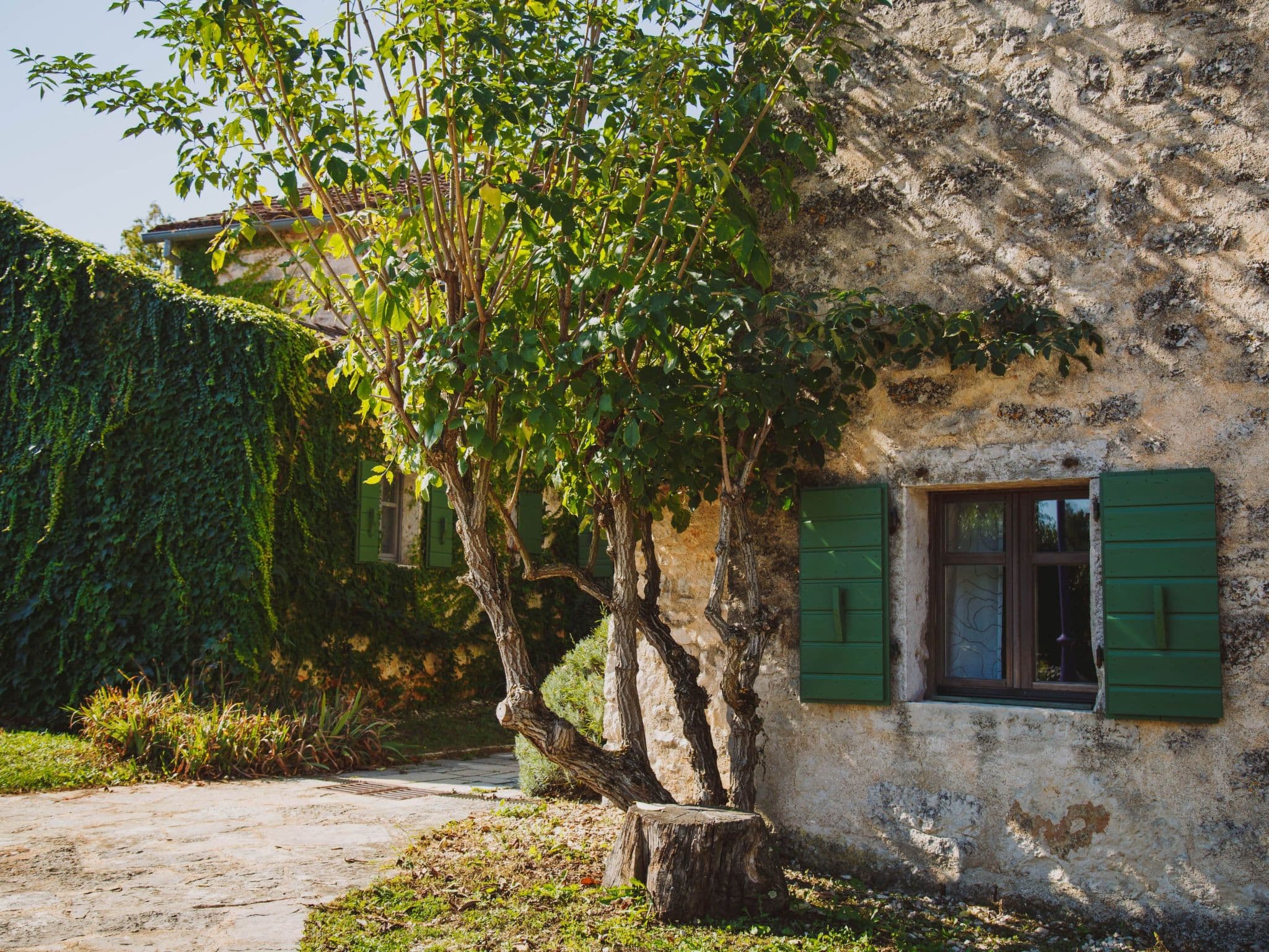 House