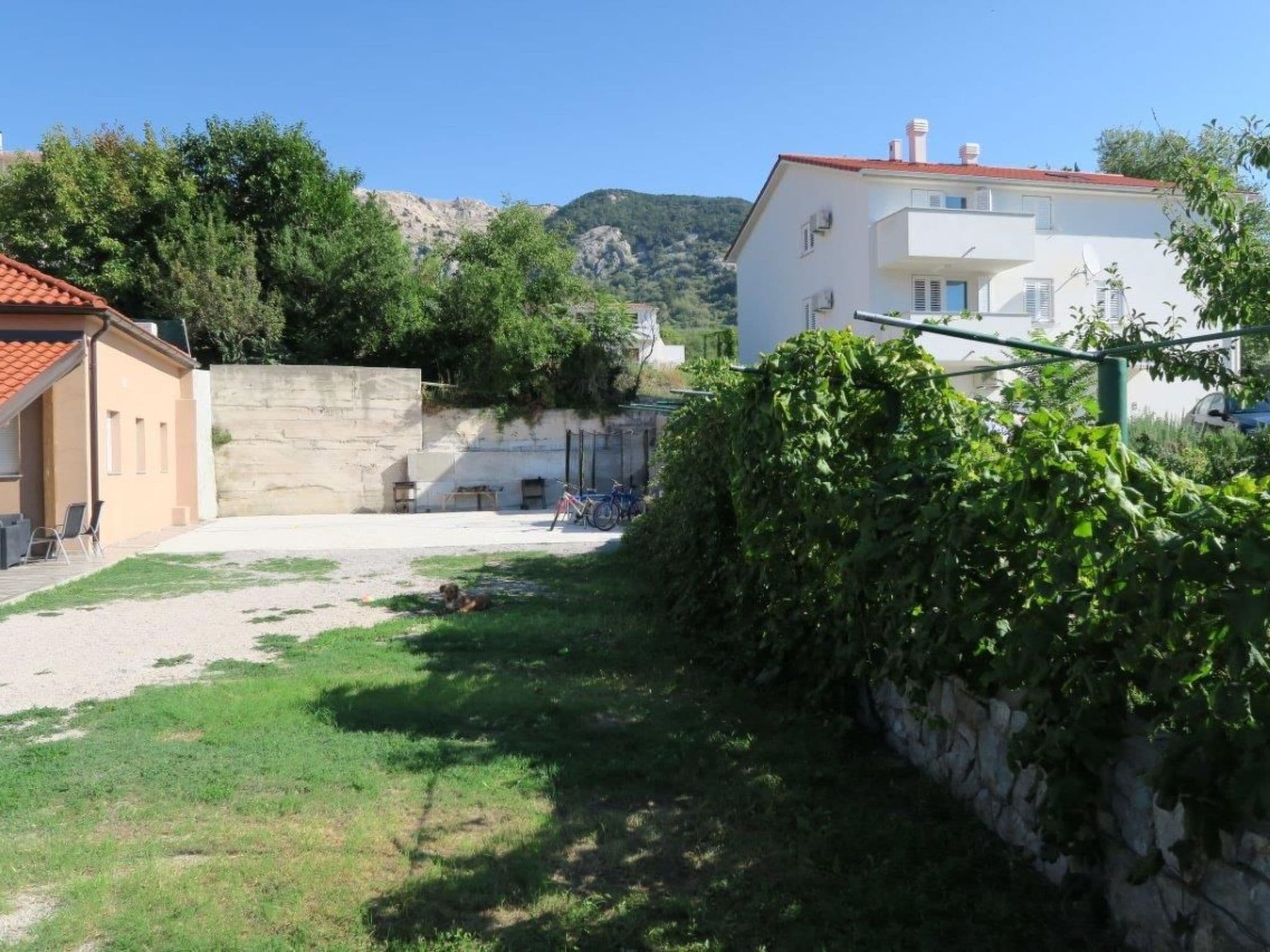 Gallery Image 23