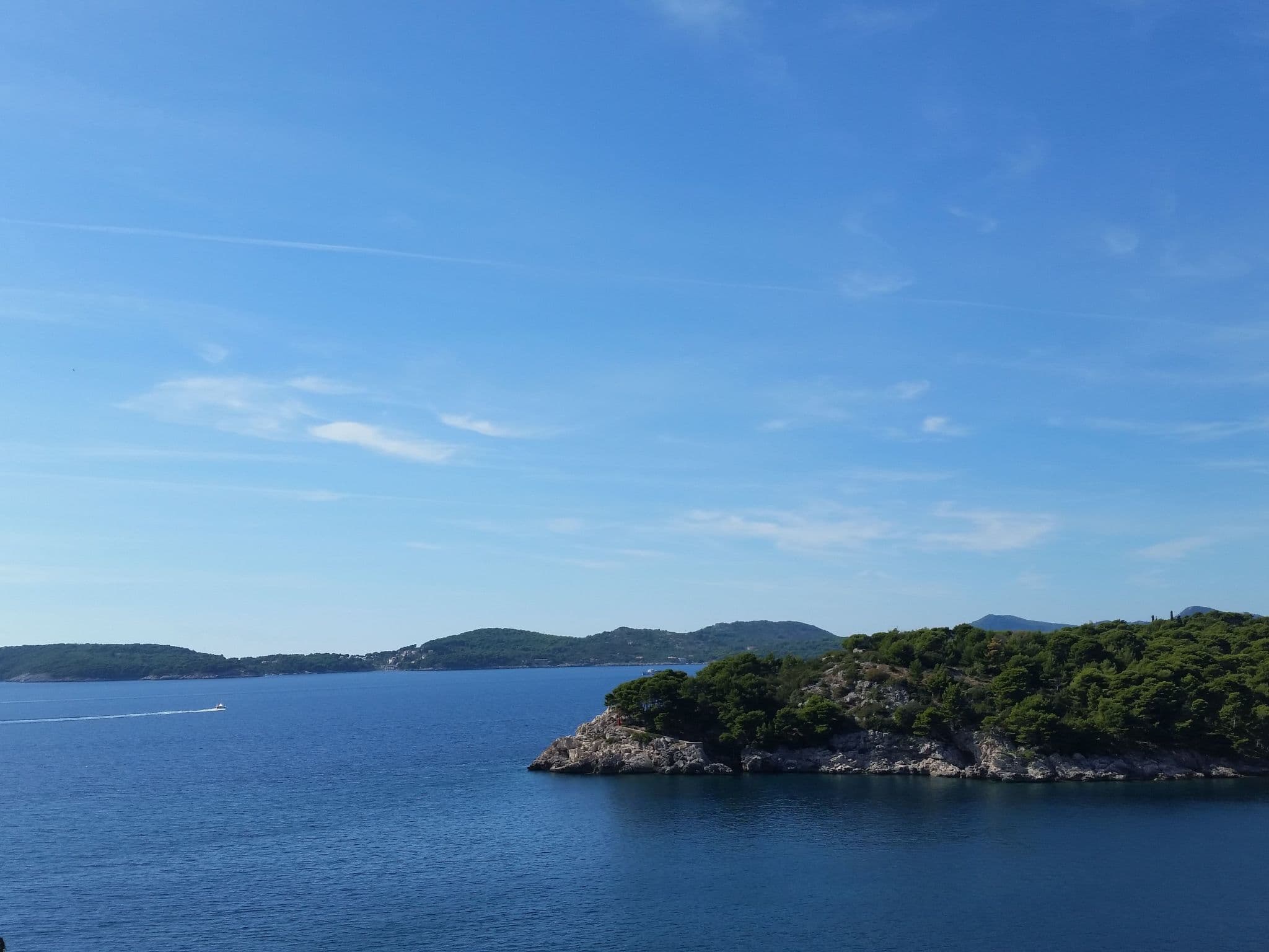 View