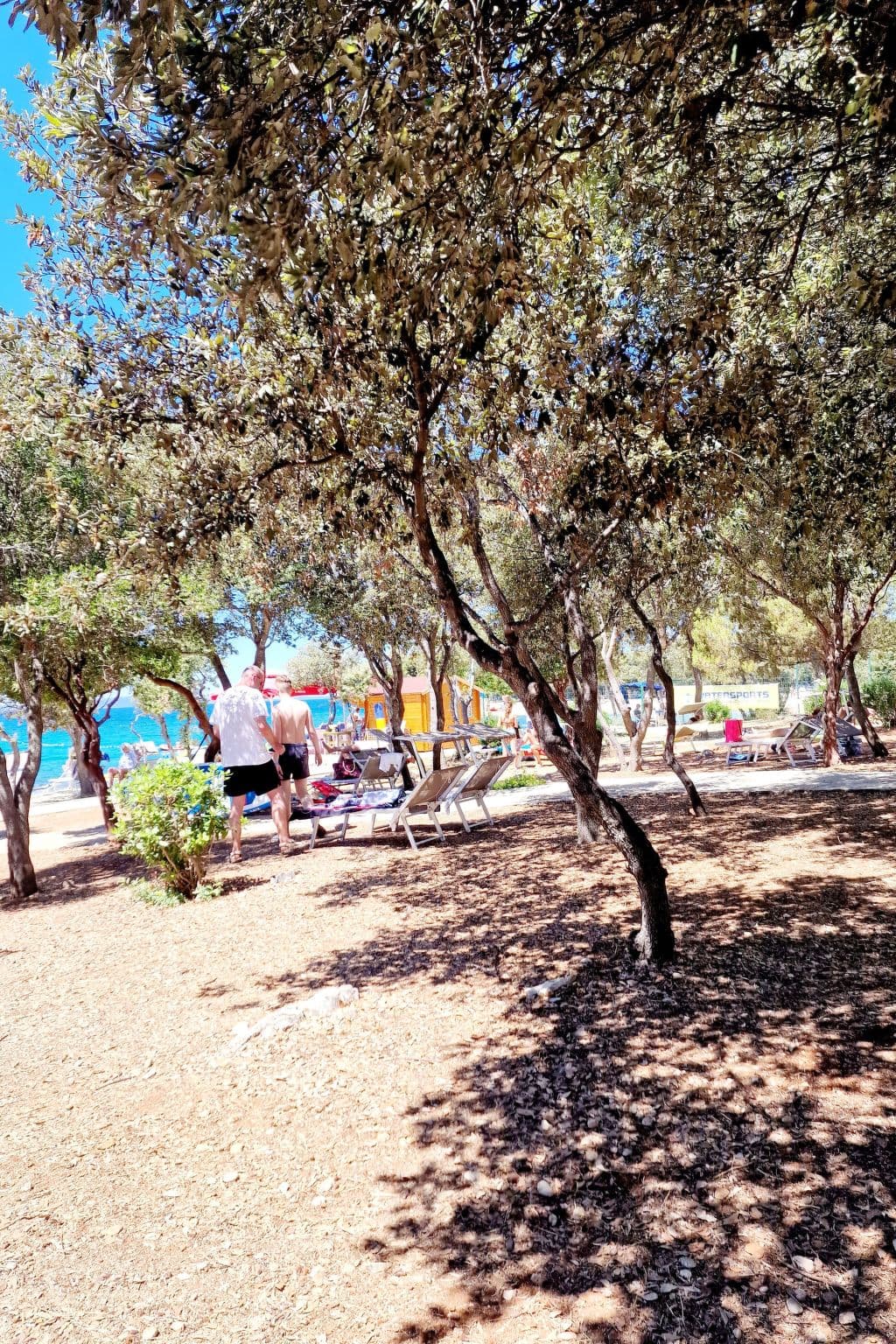 Gallery Image 41