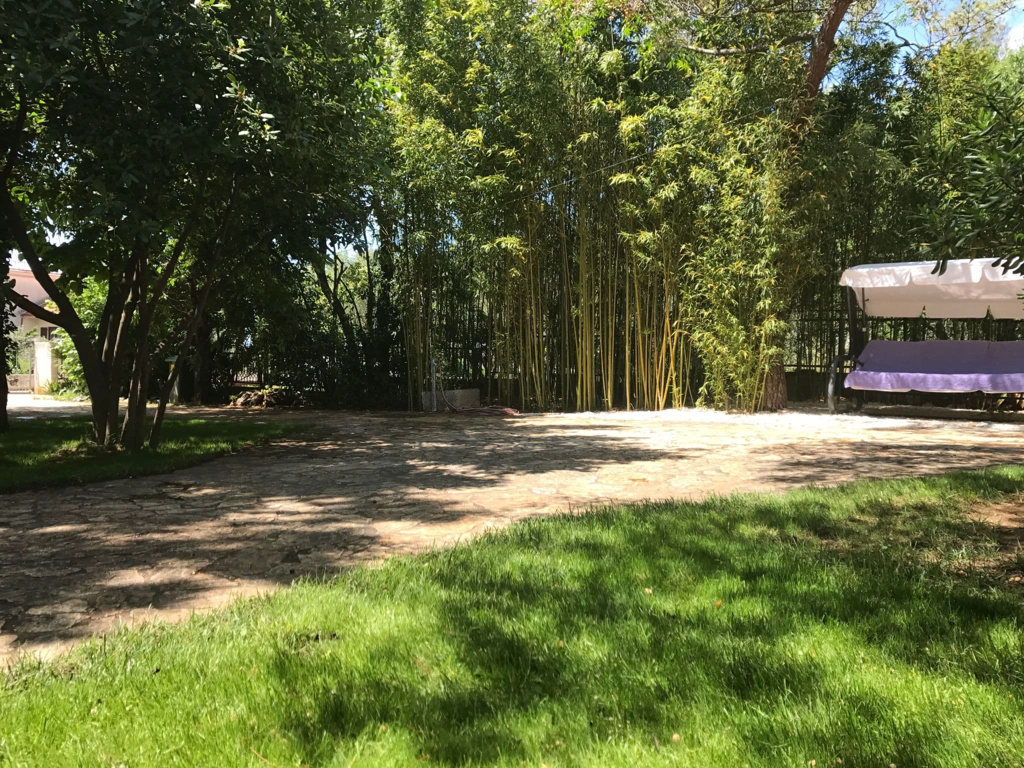 Gallery Image 45