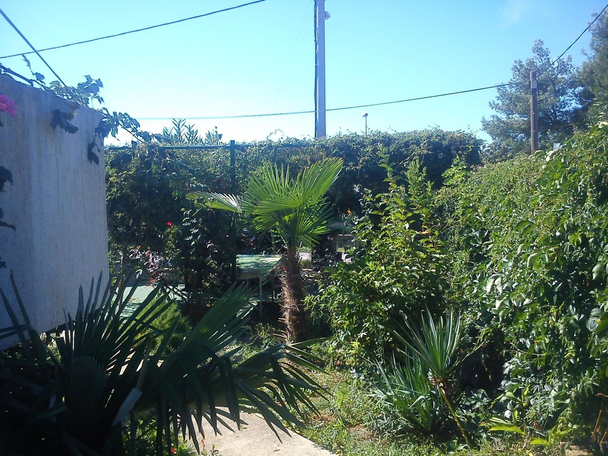Gallery Image 31