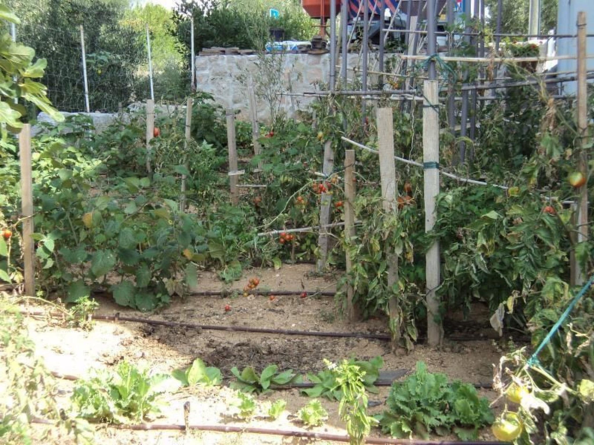 Gallery Image 12
