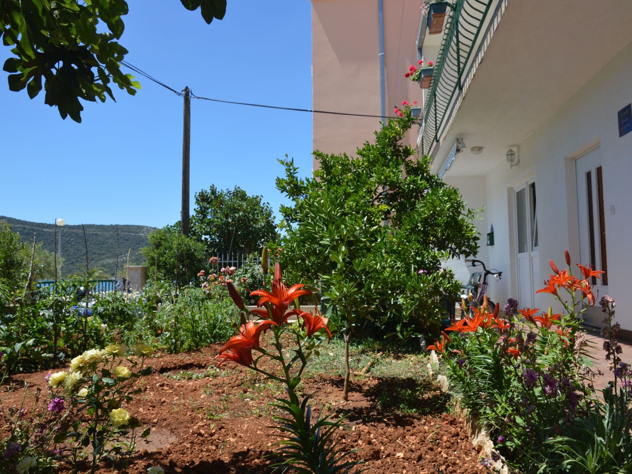 Gallery Image 25