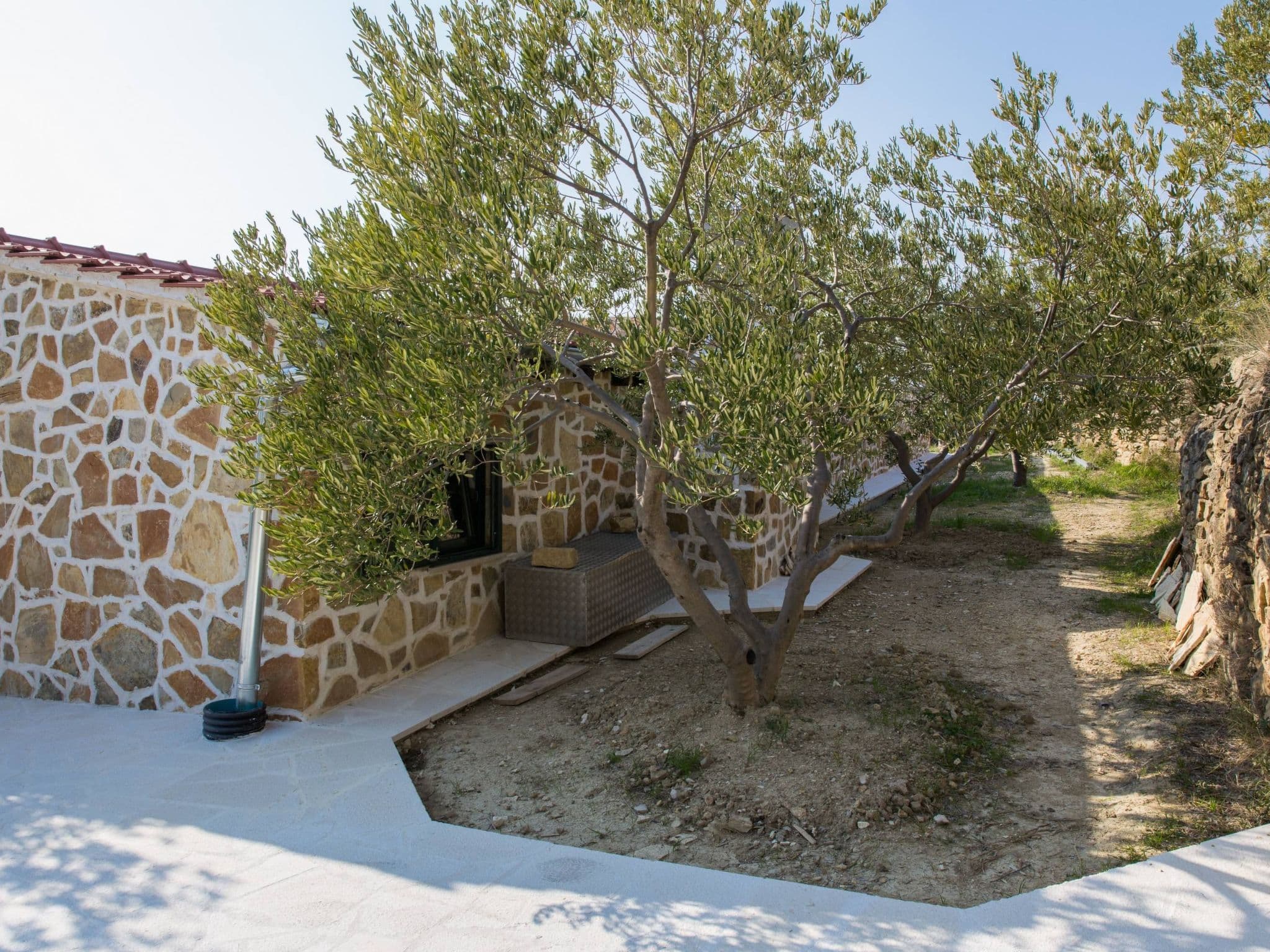 Gallery Image 28