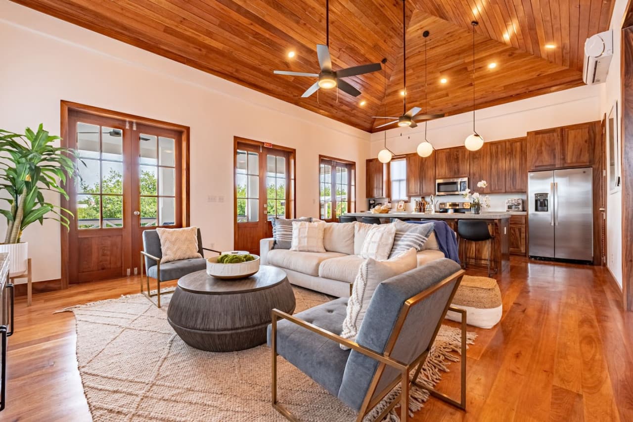 Living Area/Kitchen area