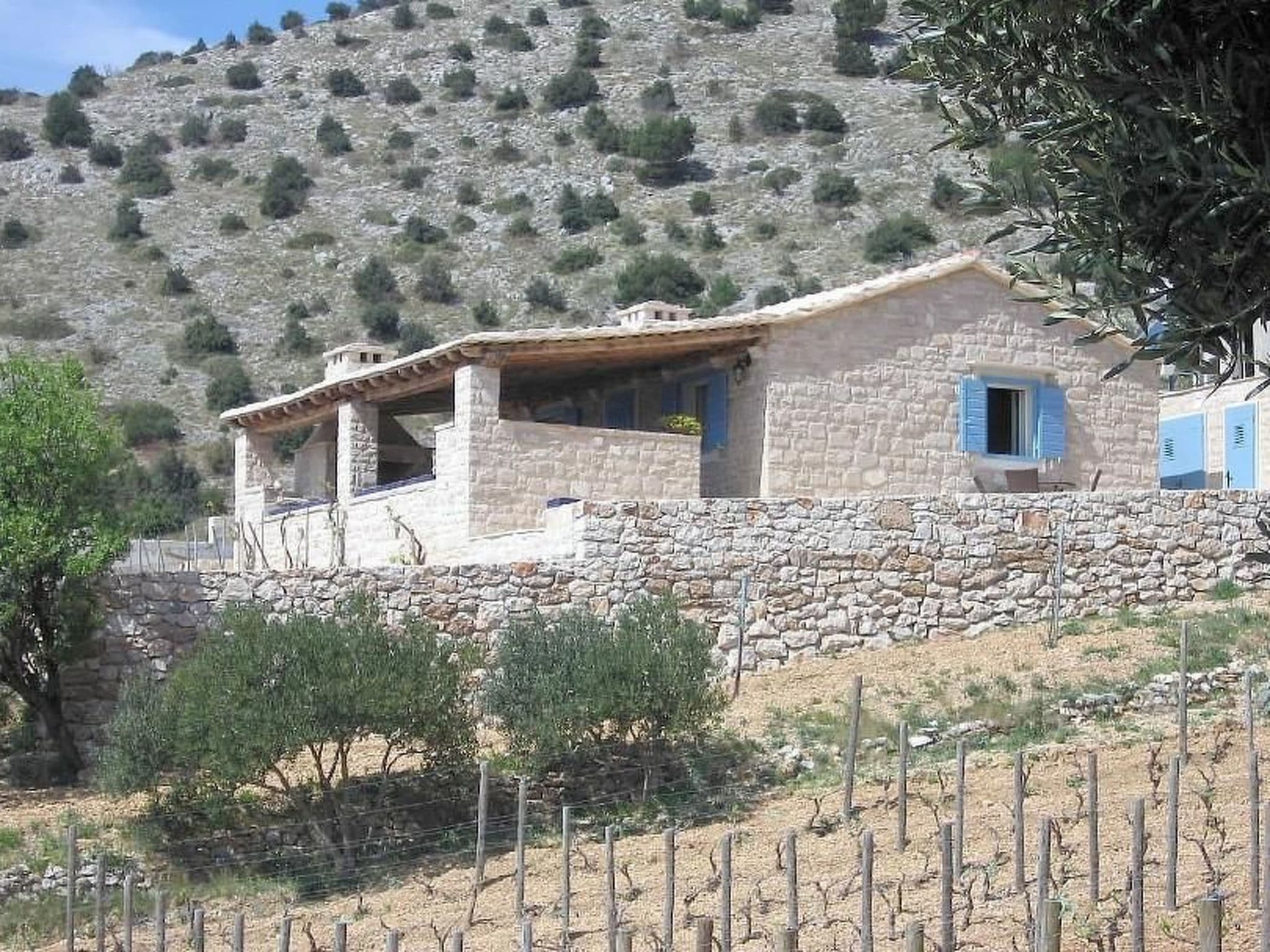 Gallery Image 9