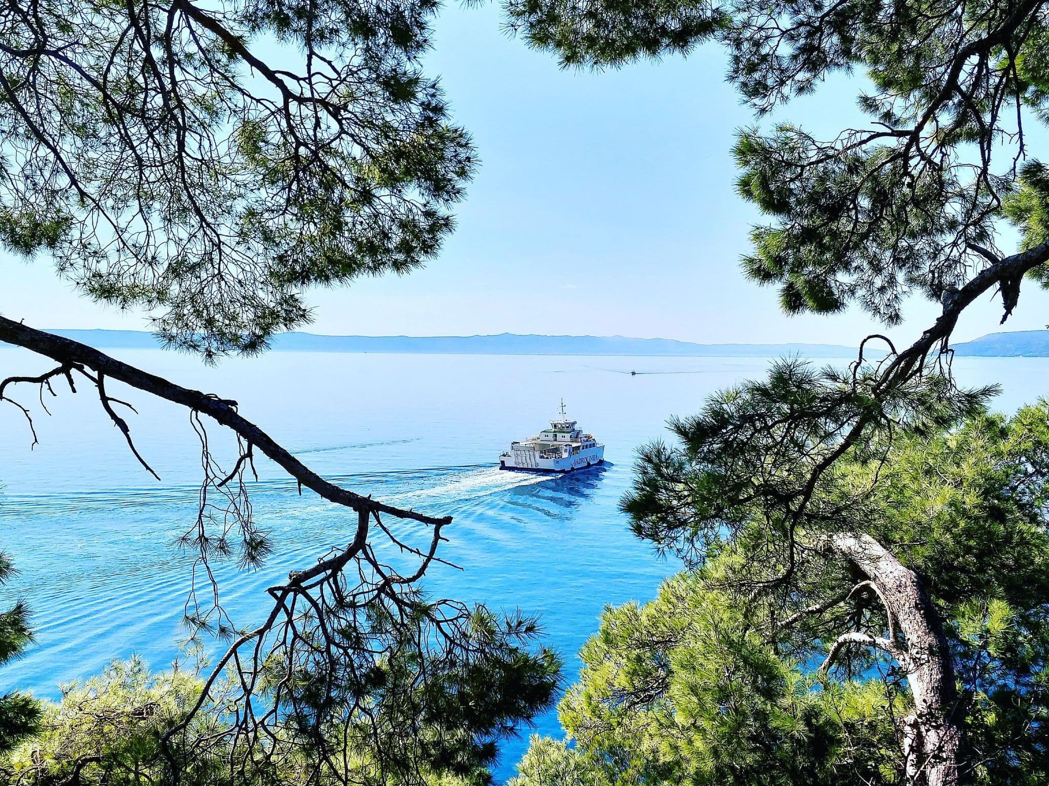 View