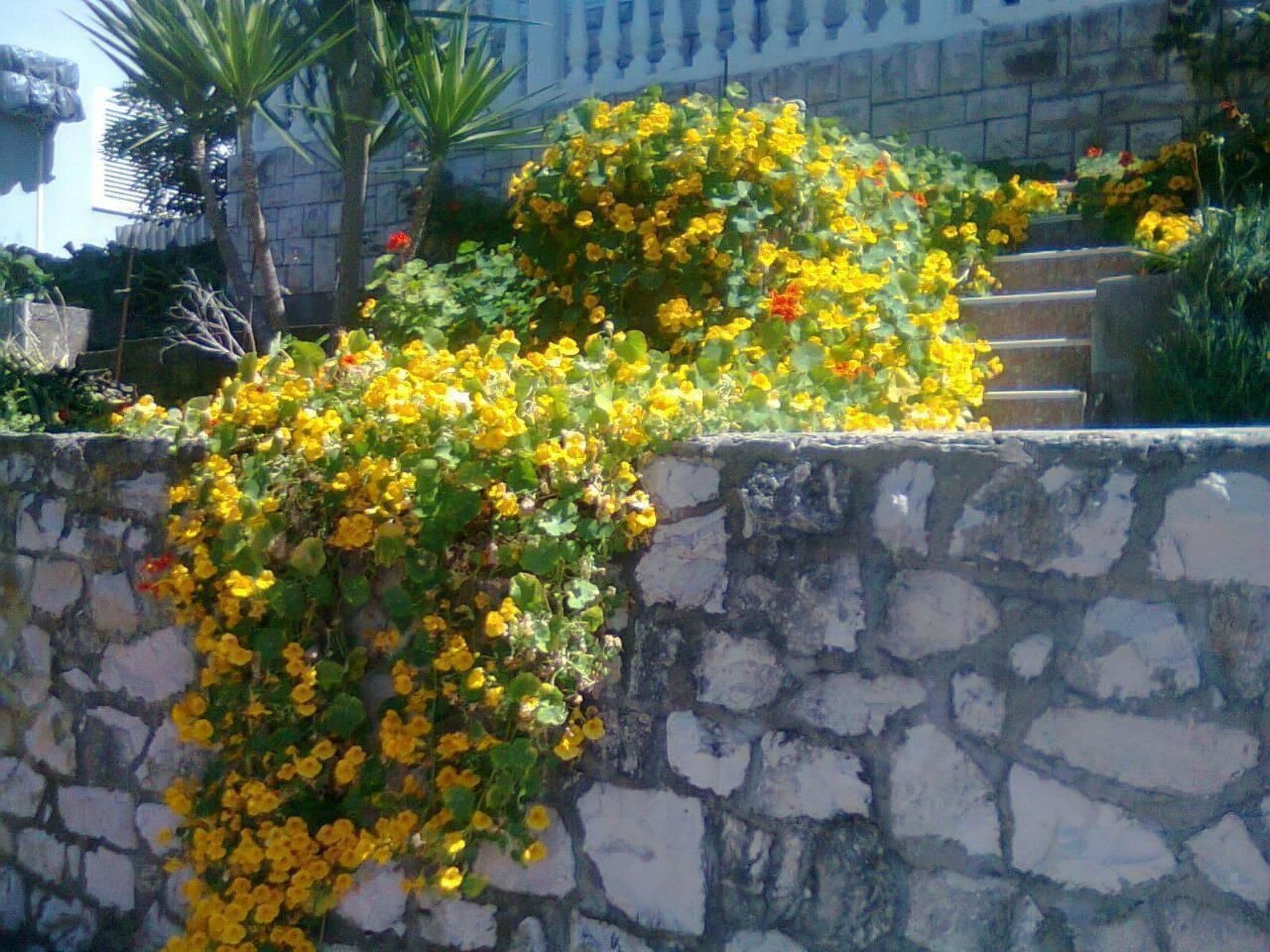 Gallery Image 36