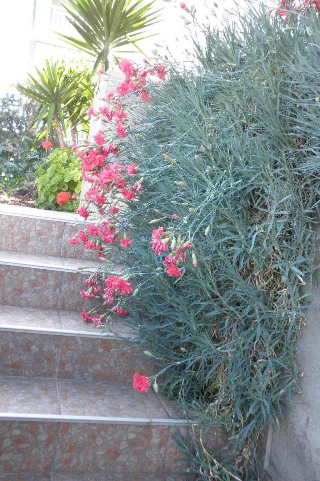 Gallery Image 28