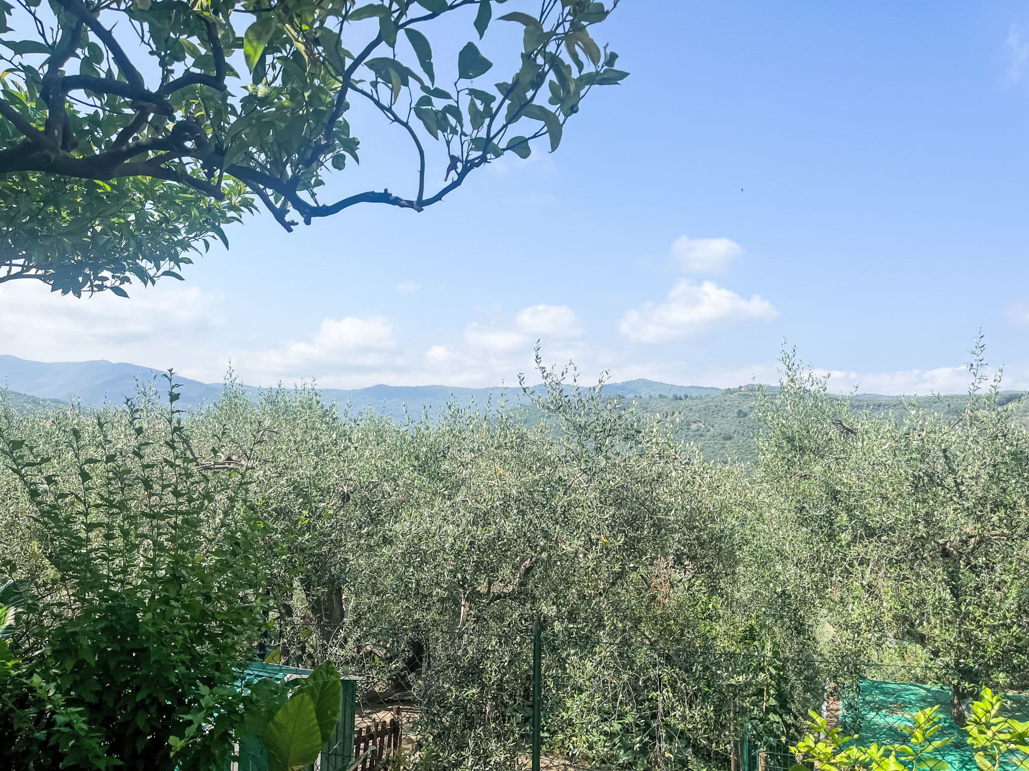 Place