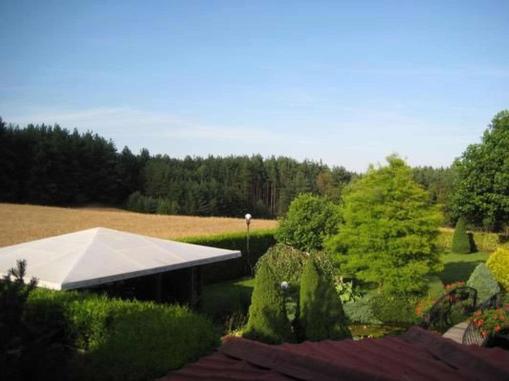 Gallery Image 12