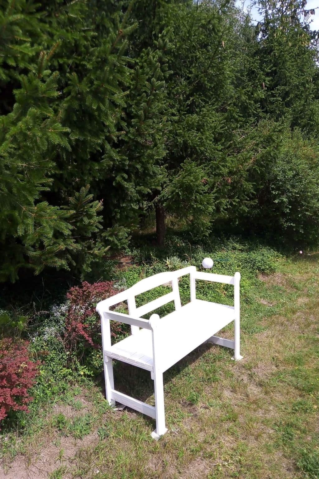 Gallery Image 6