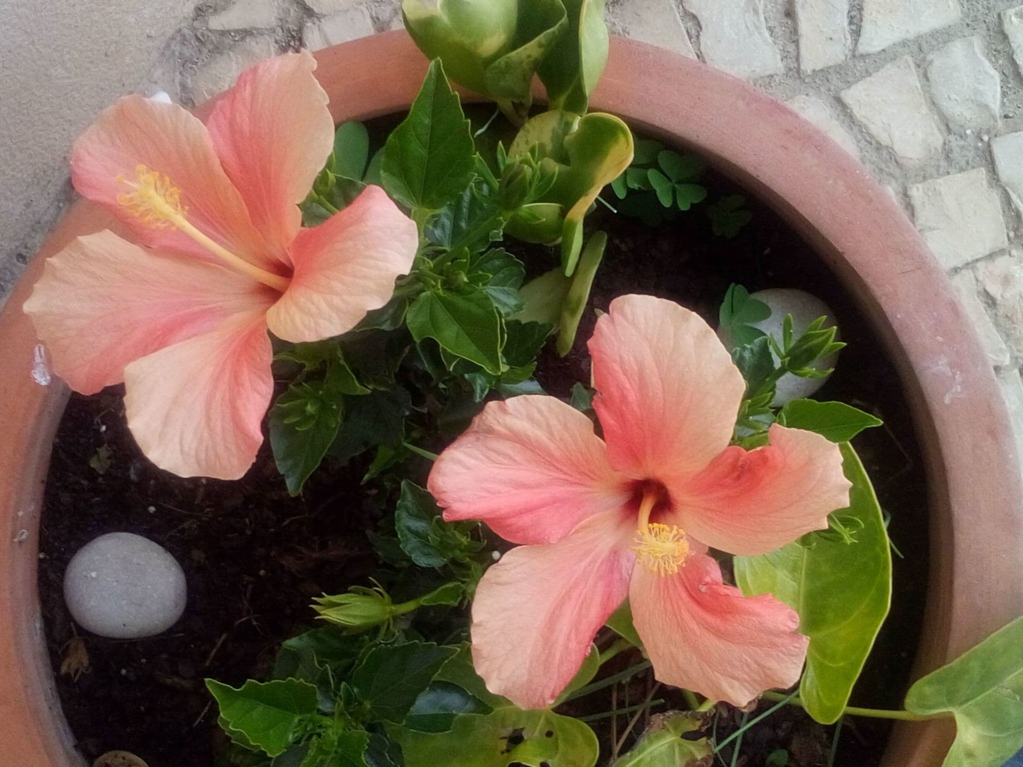 Gallery Image 28