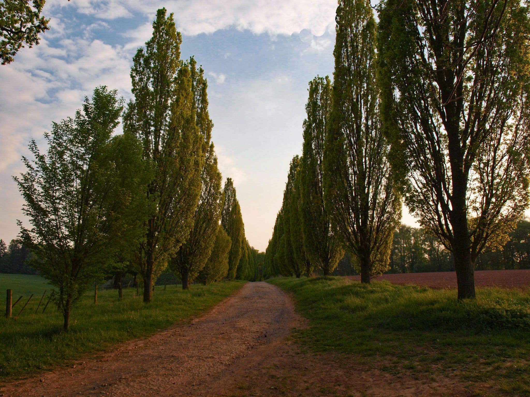 Gallery Image 23