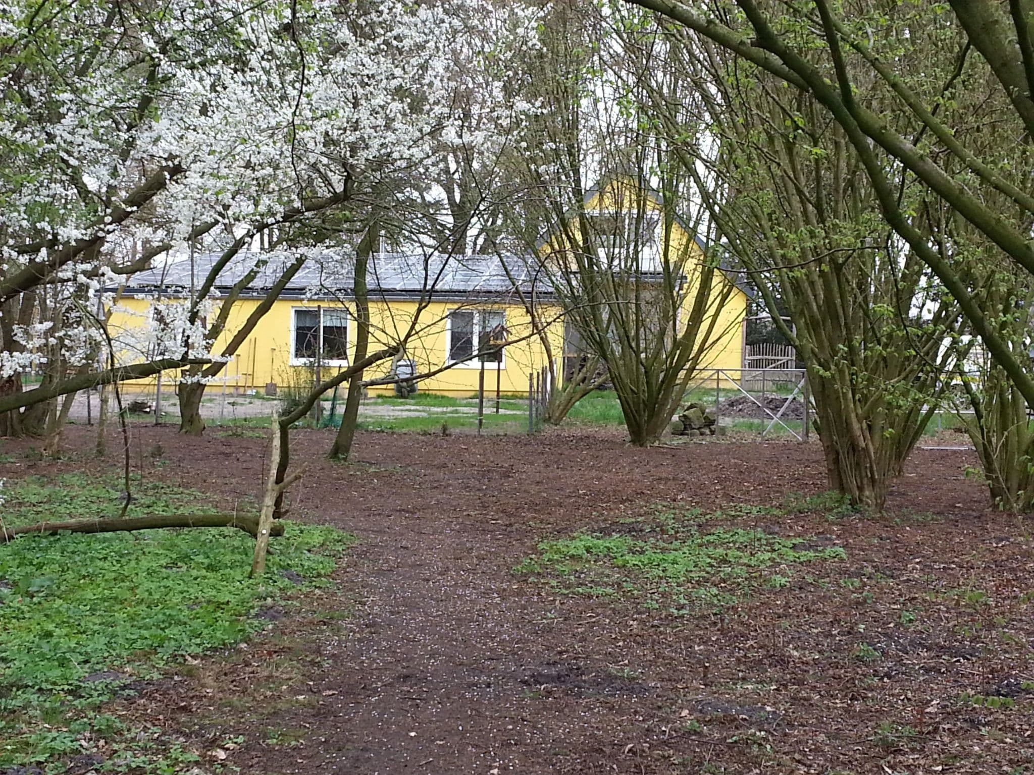 Gallery Image 10