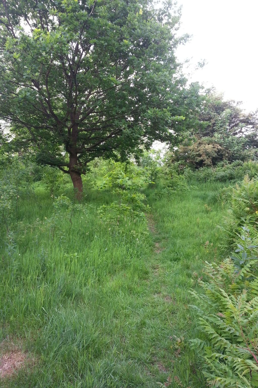 Gallery Image 17