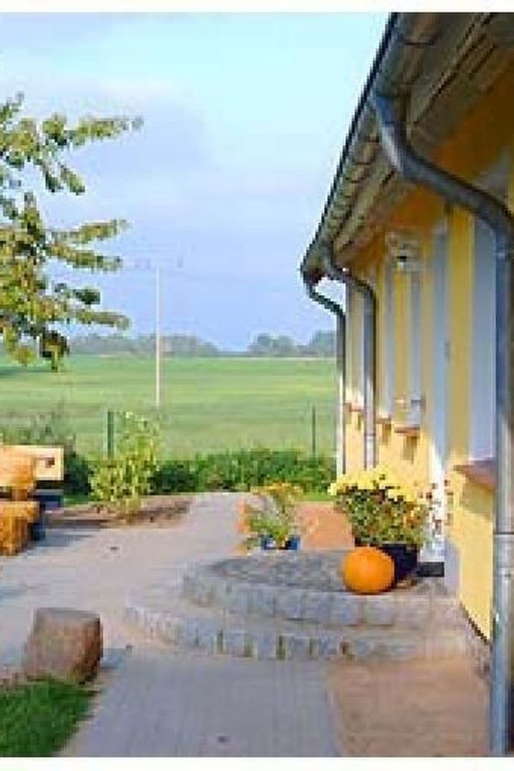 Gallery Image 11