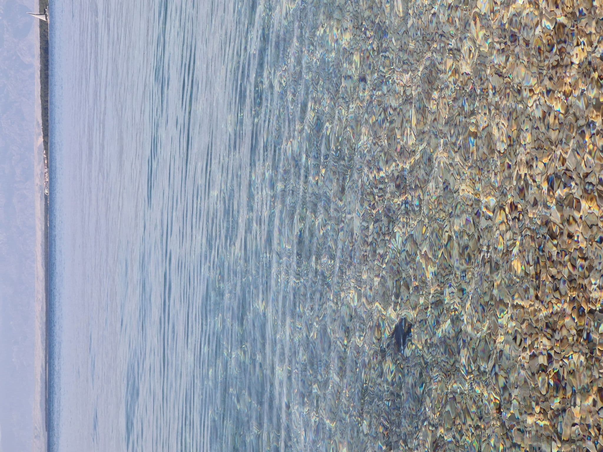 Gallery Image 51