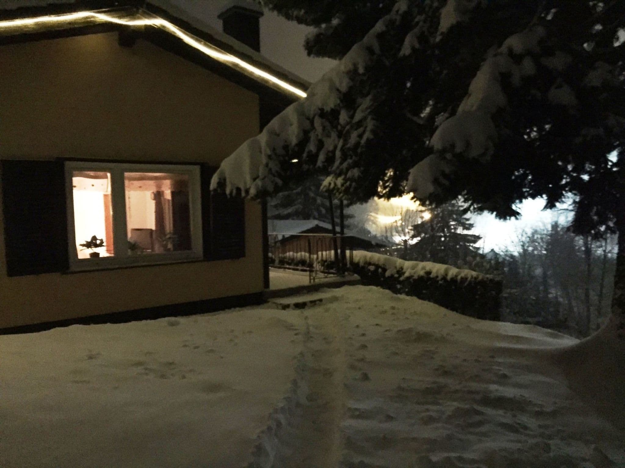 Gallery Image 41
