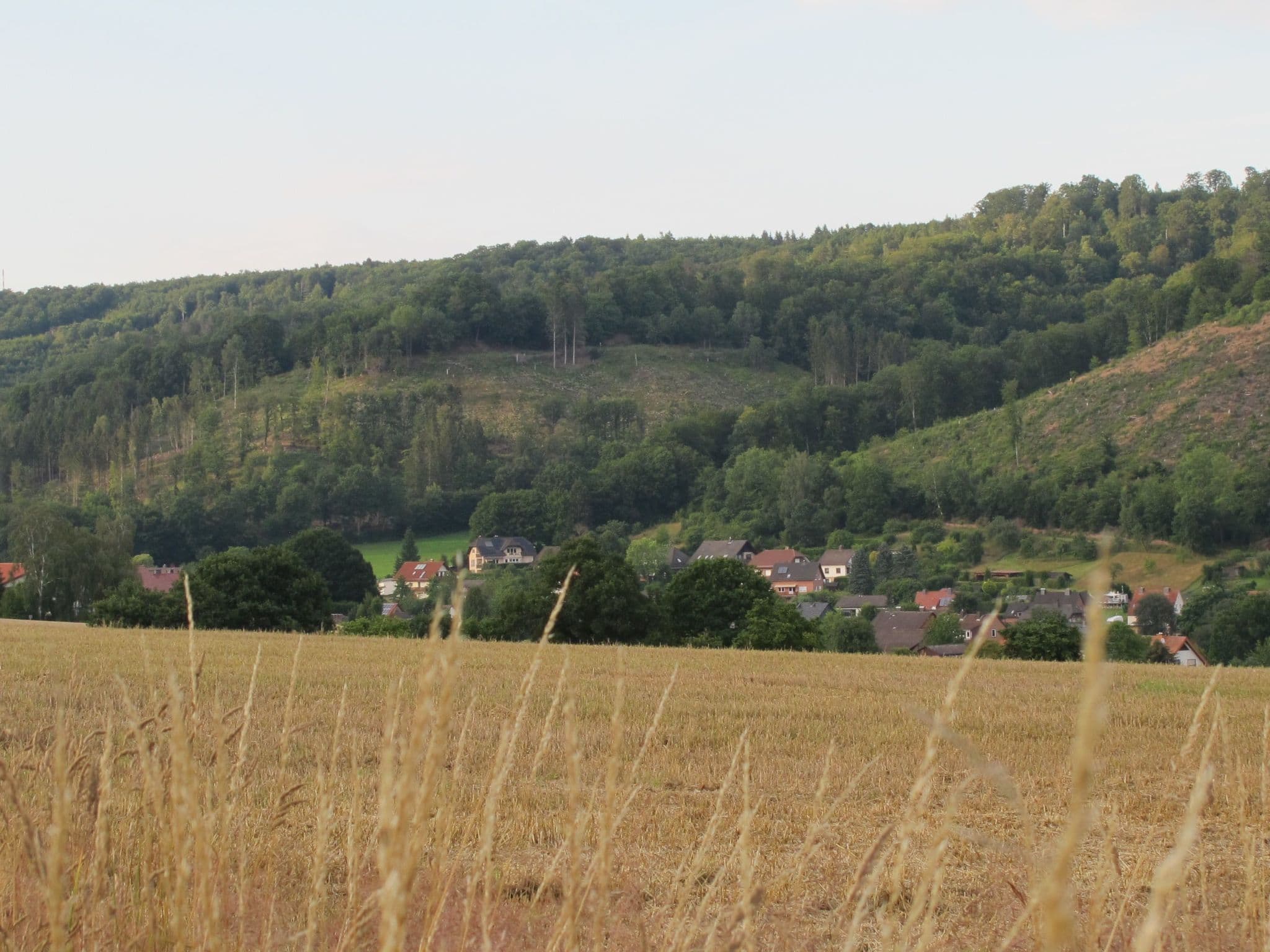 View