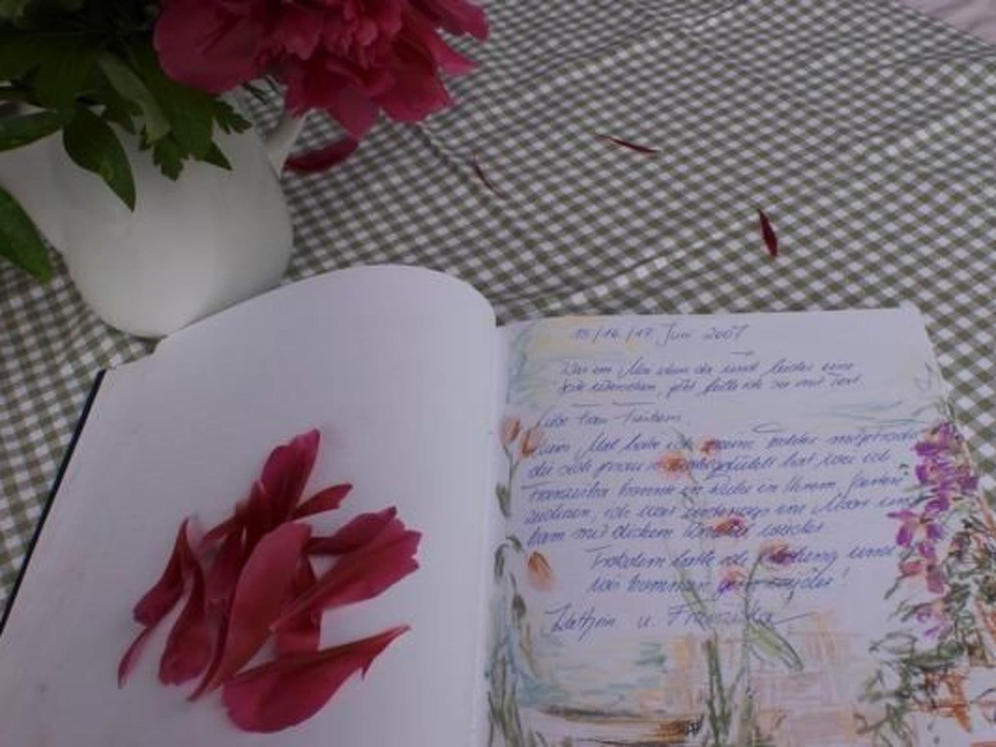 Gallery Image 11