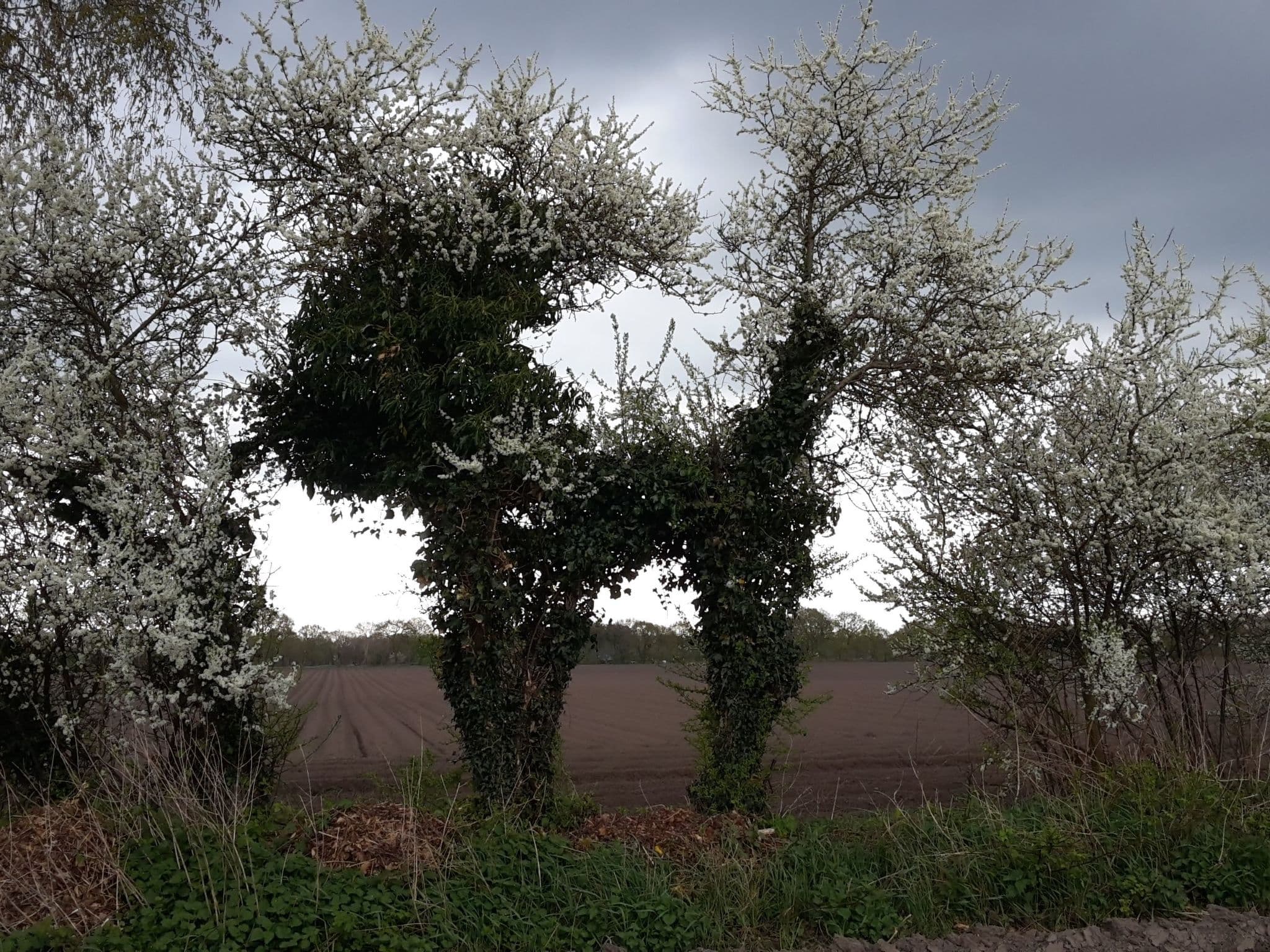 Gallery Image 48