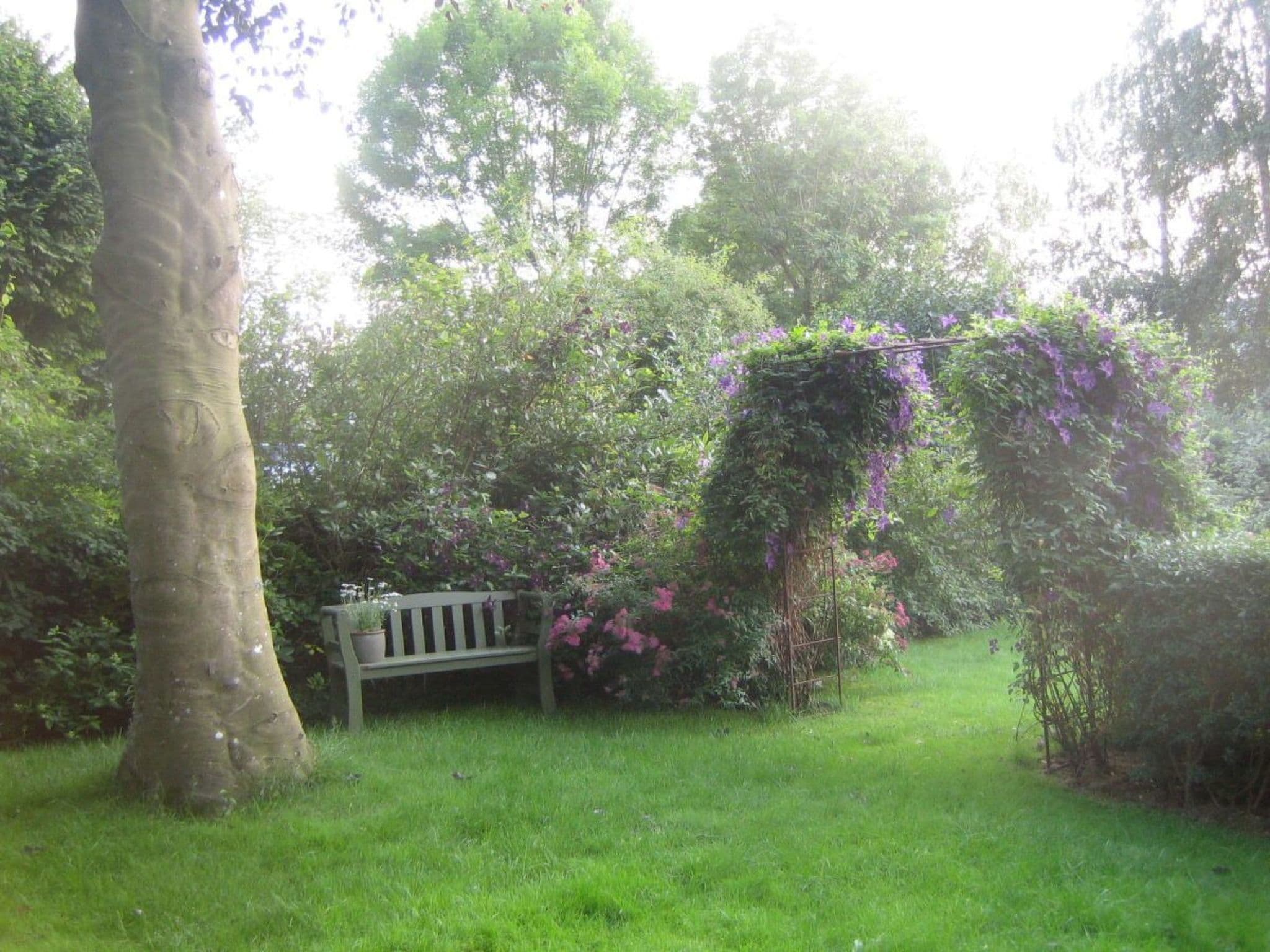 Gallery Image 18