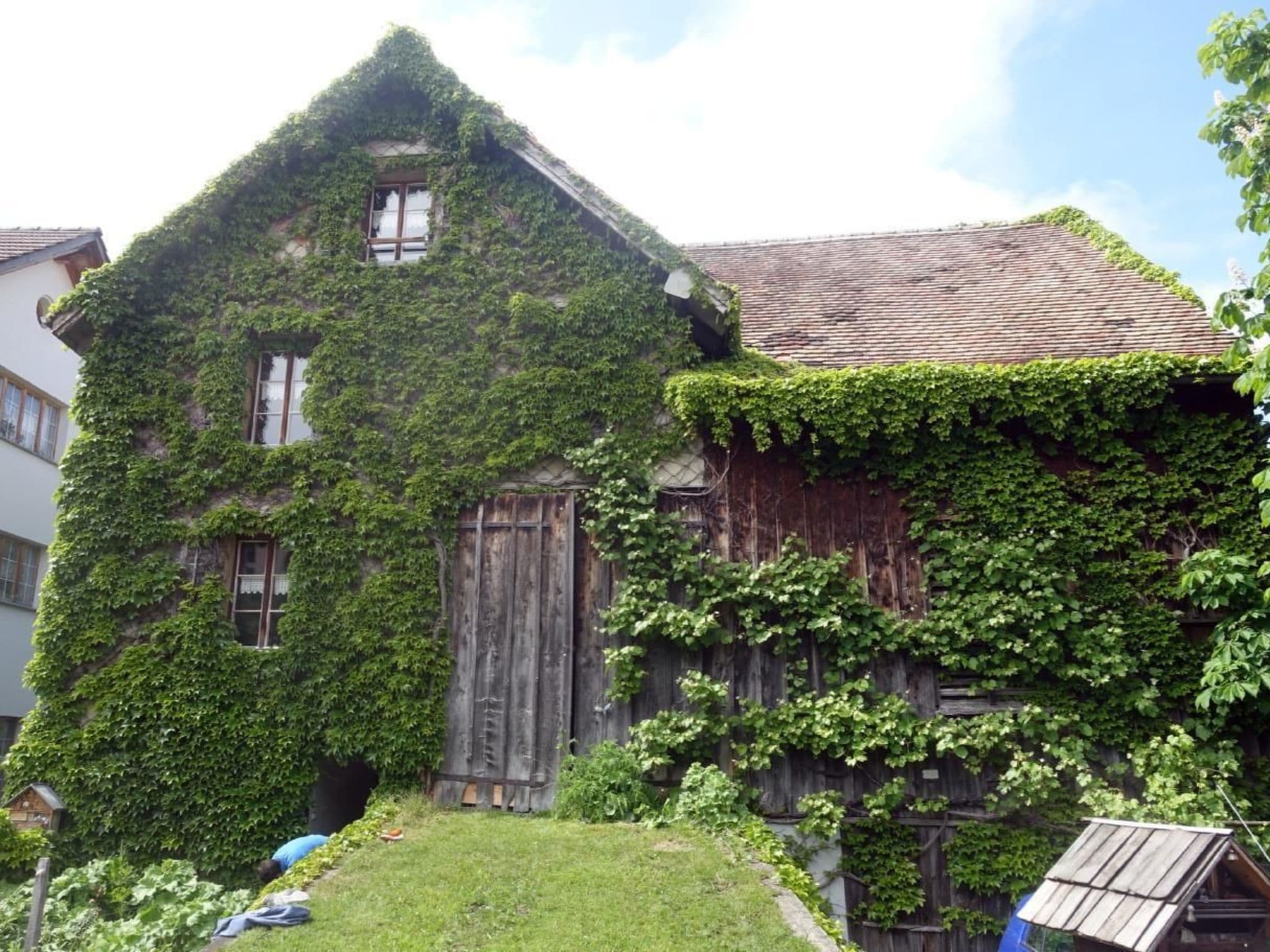 House