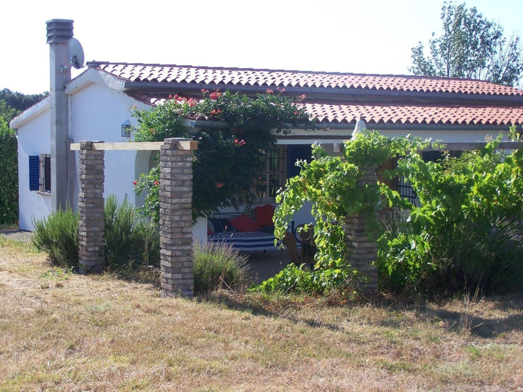 Gallery Image 19