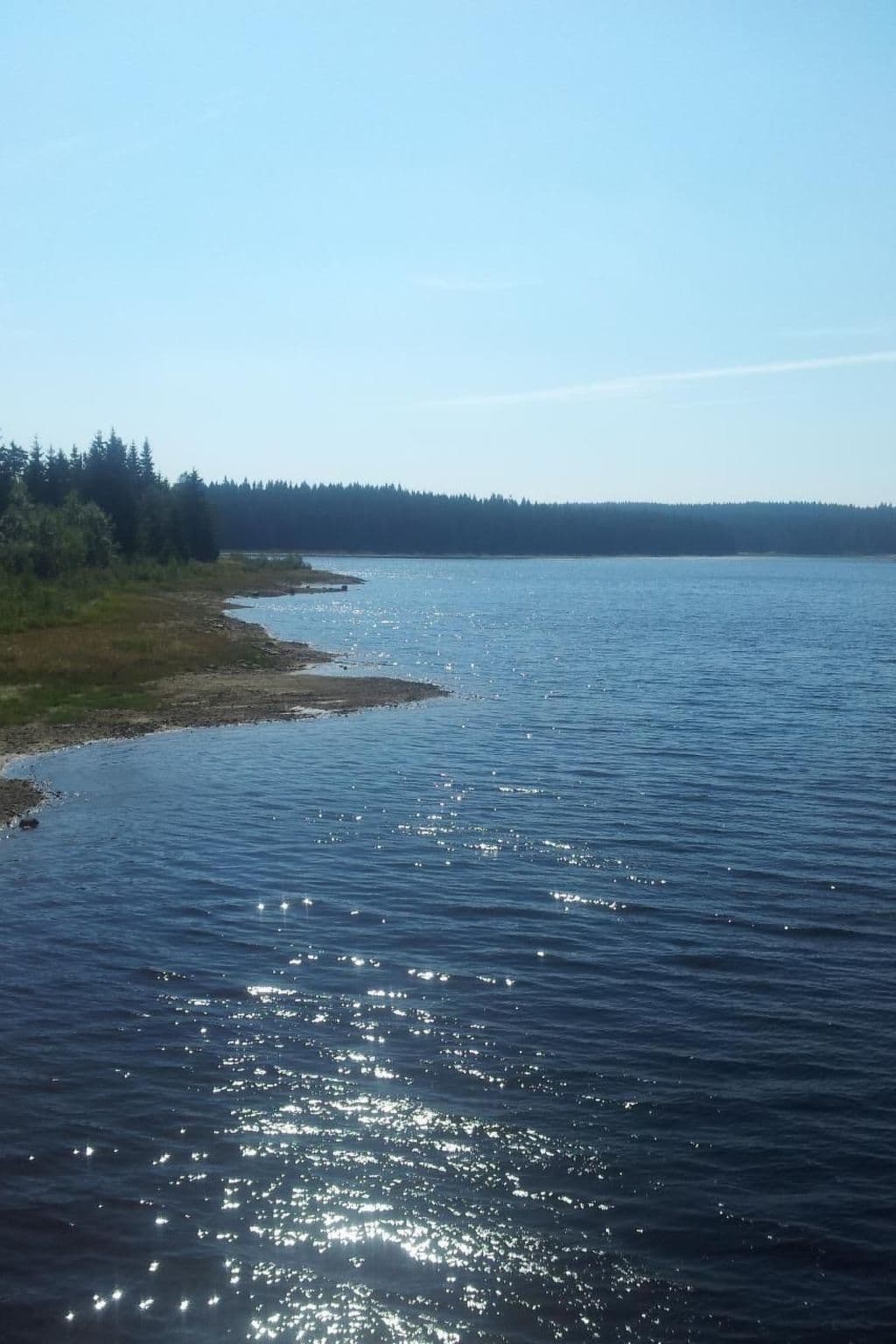Gallery Image 15