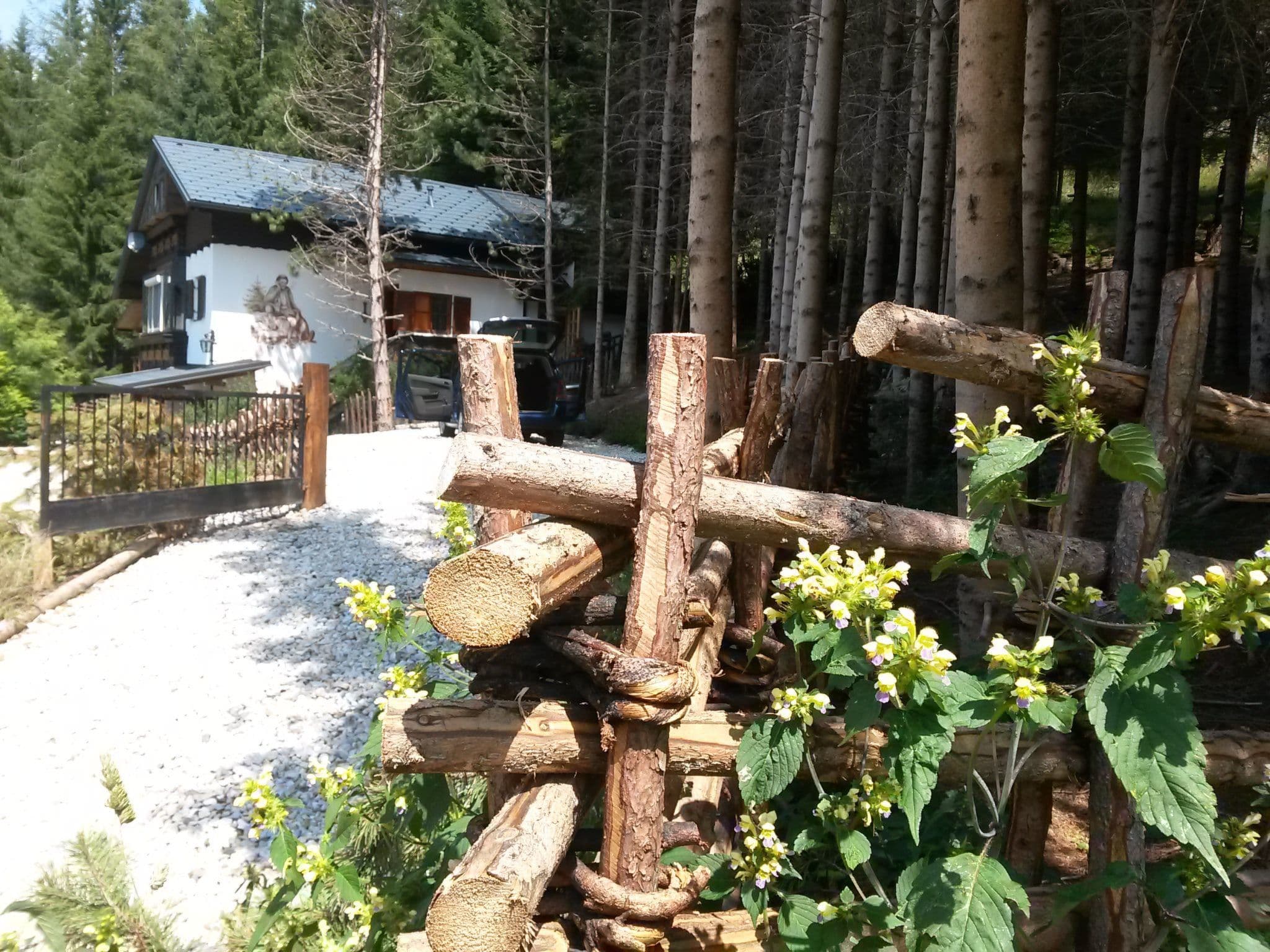 Gallery Image 12