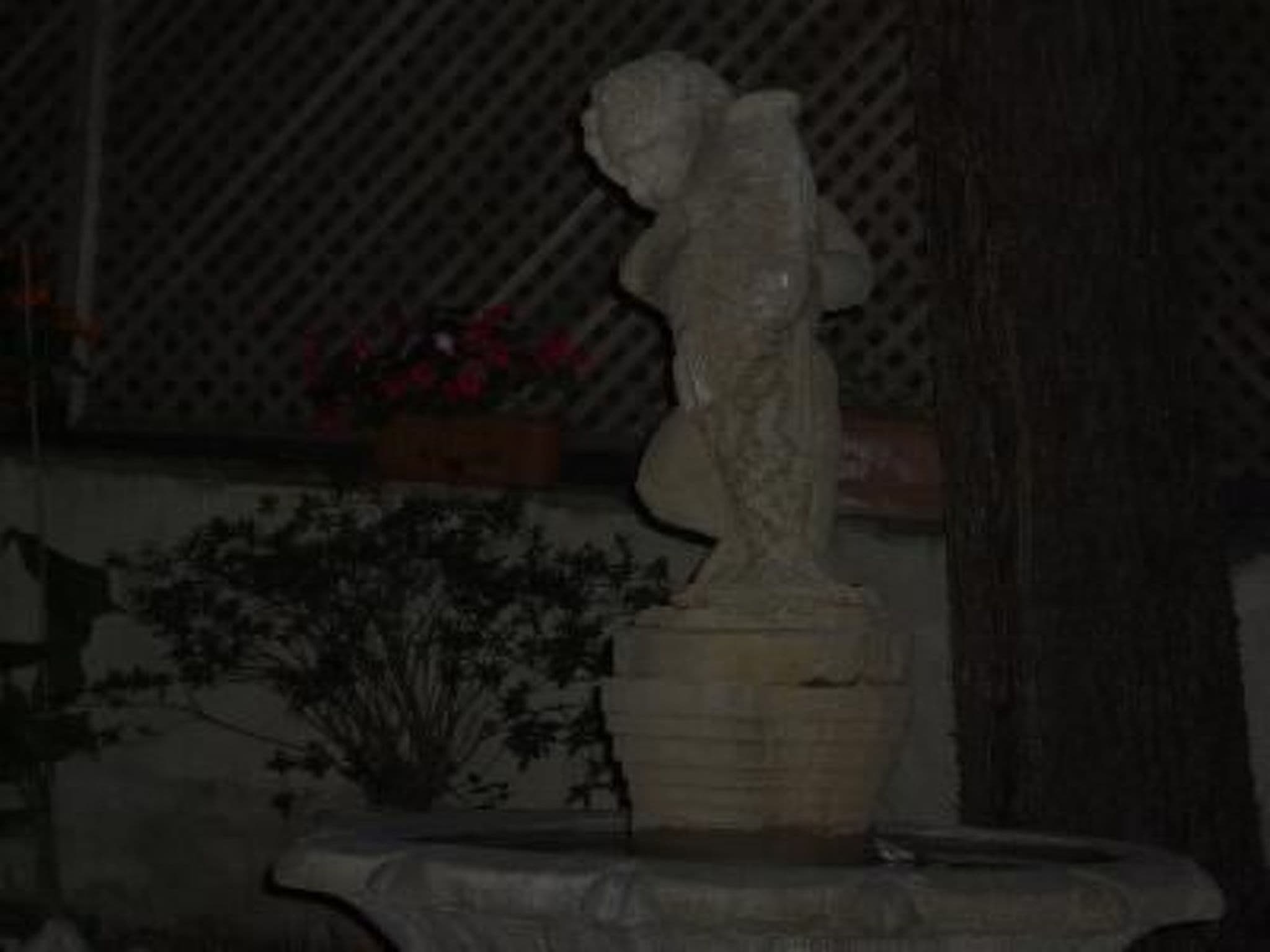 Gallery Image 13