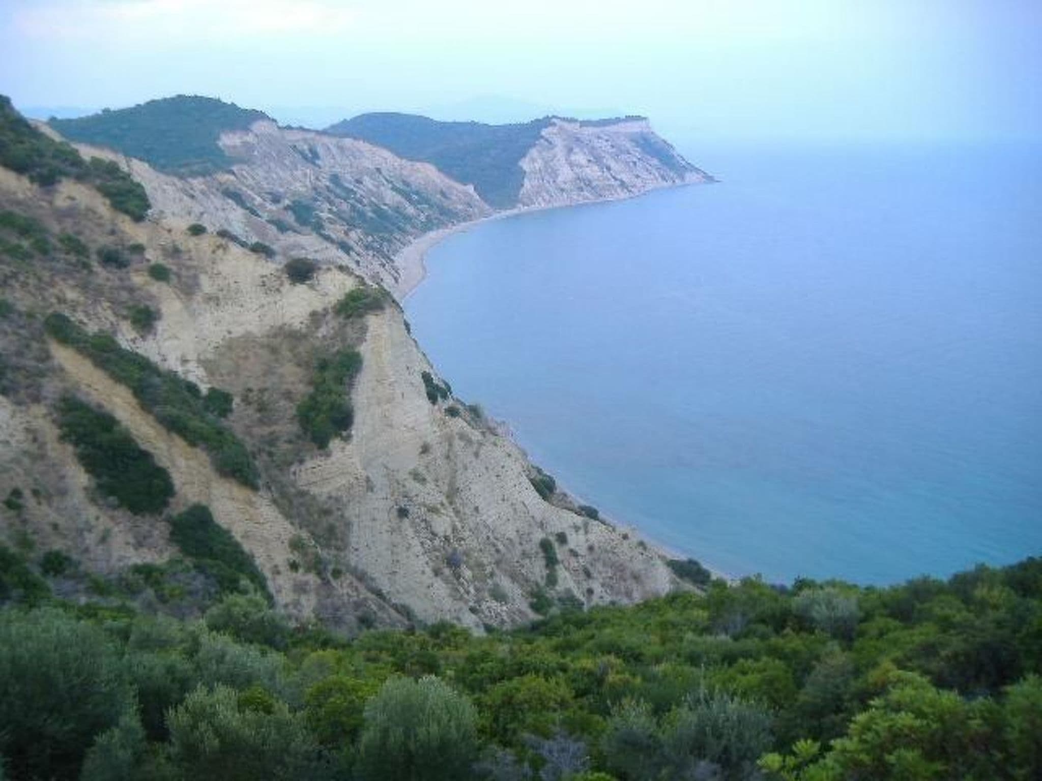 Gallery Image 13