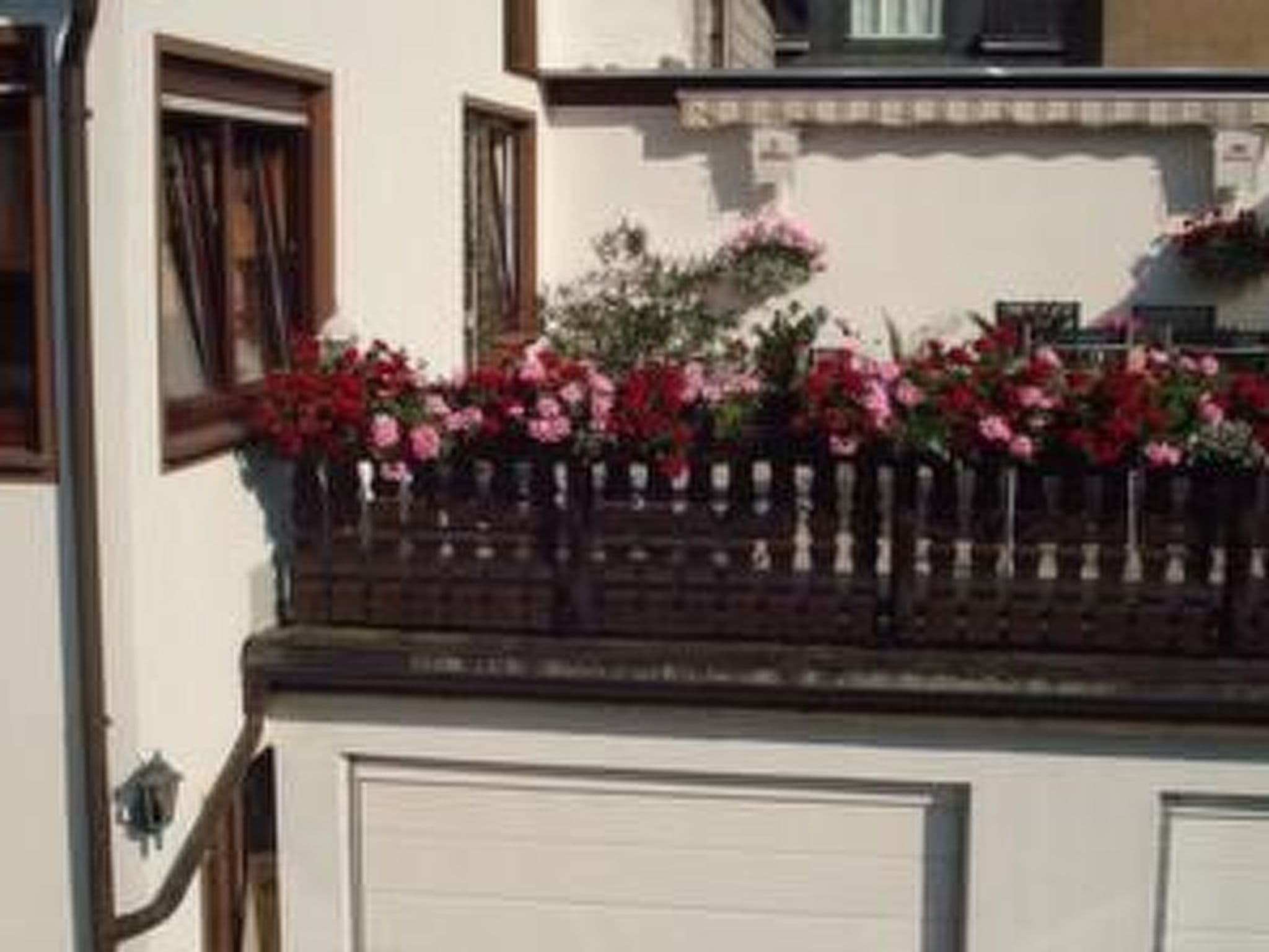 Gallery Image 21