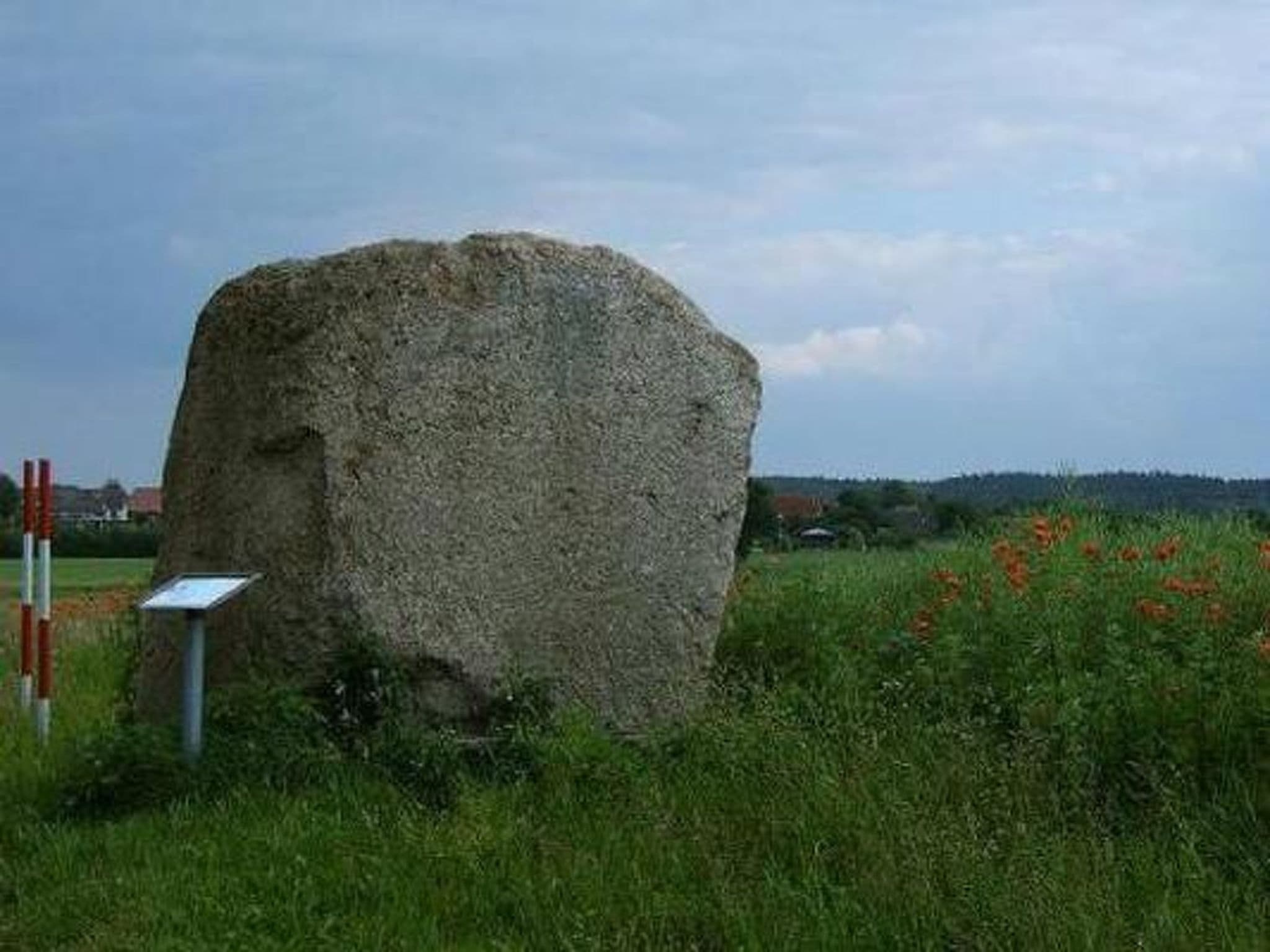 Gallery Image 11