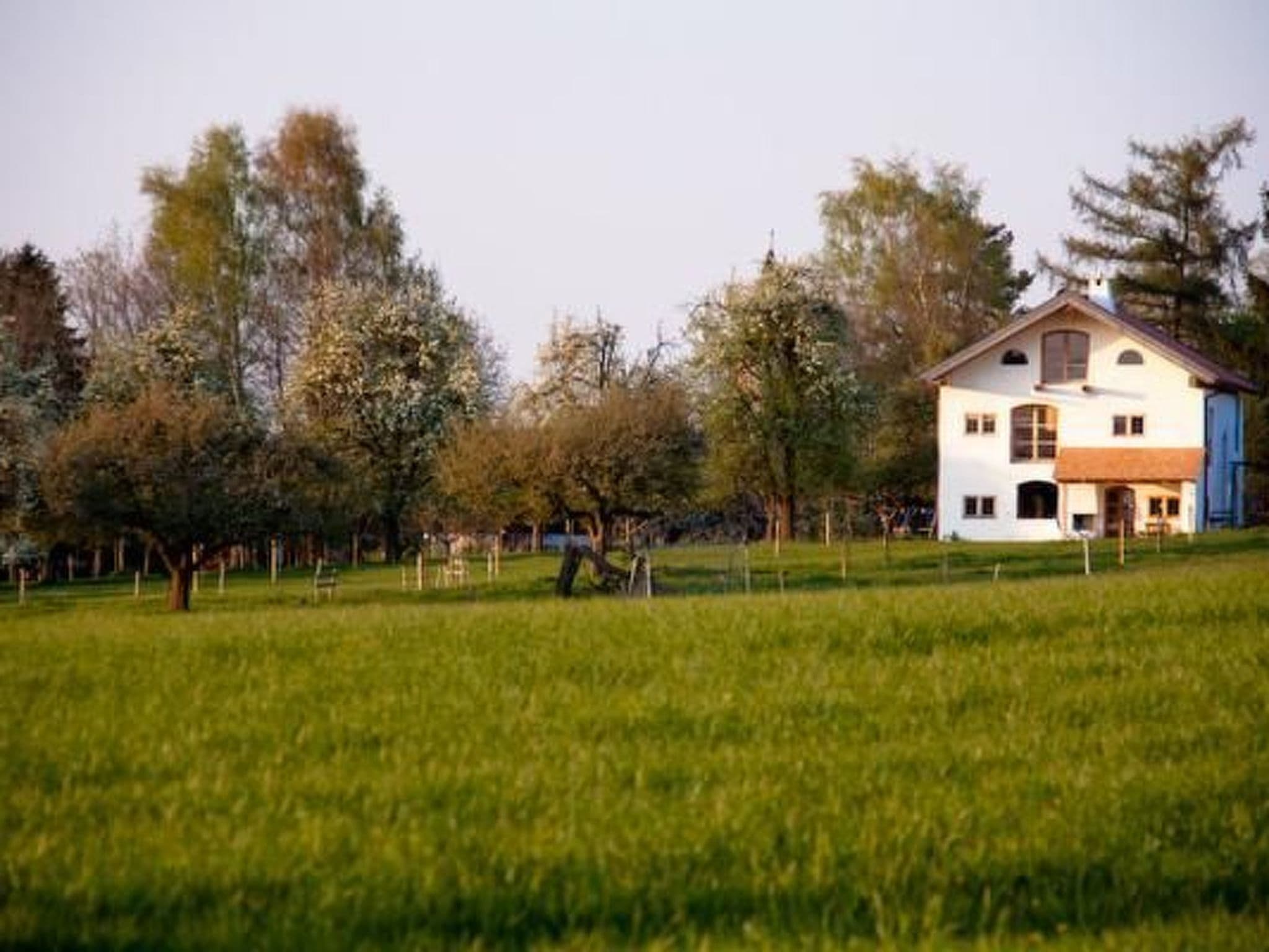 Gallery Image 33