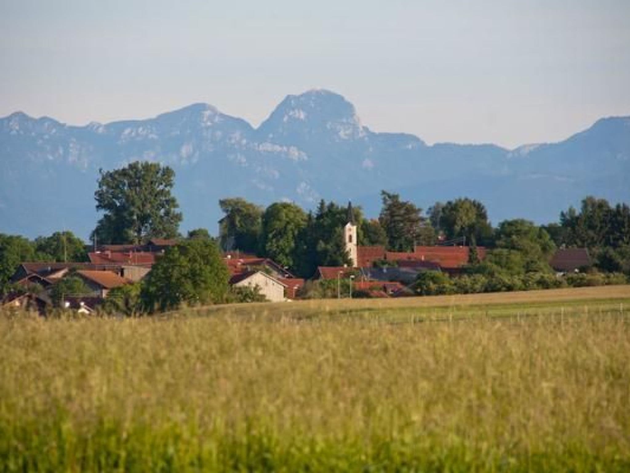 View