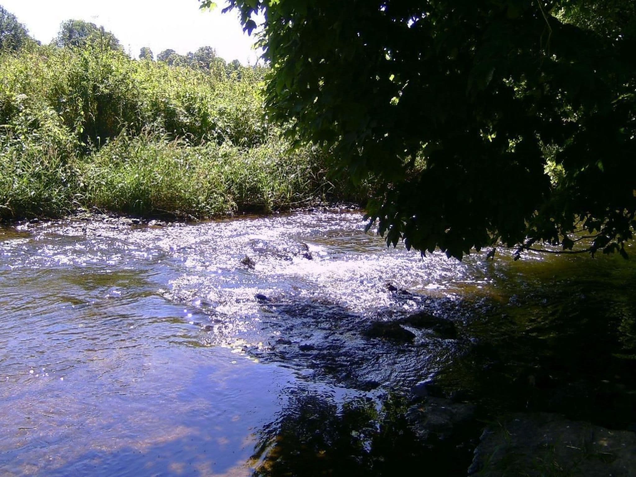 Gallery Image 15
