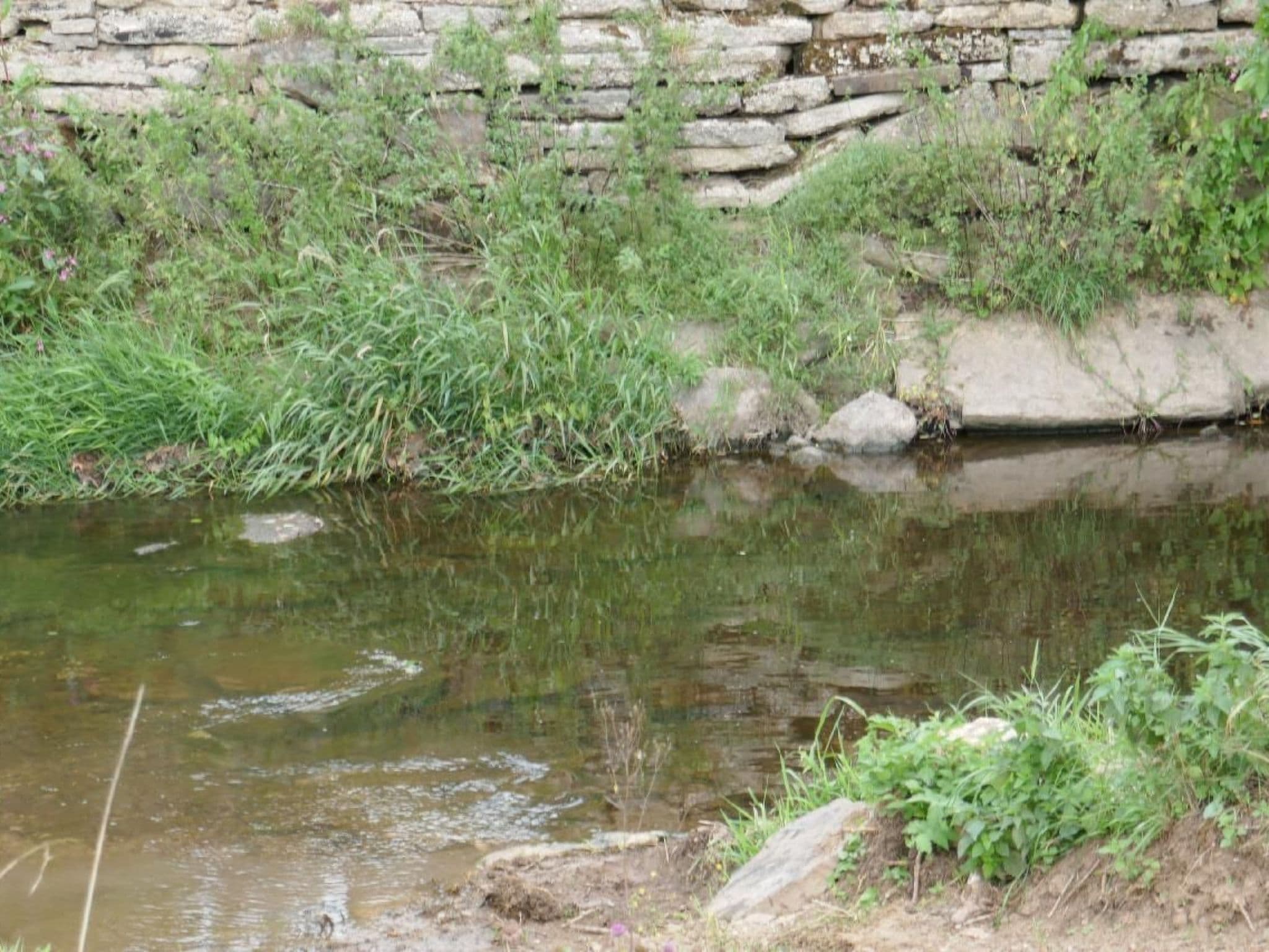 Gallery Image 17