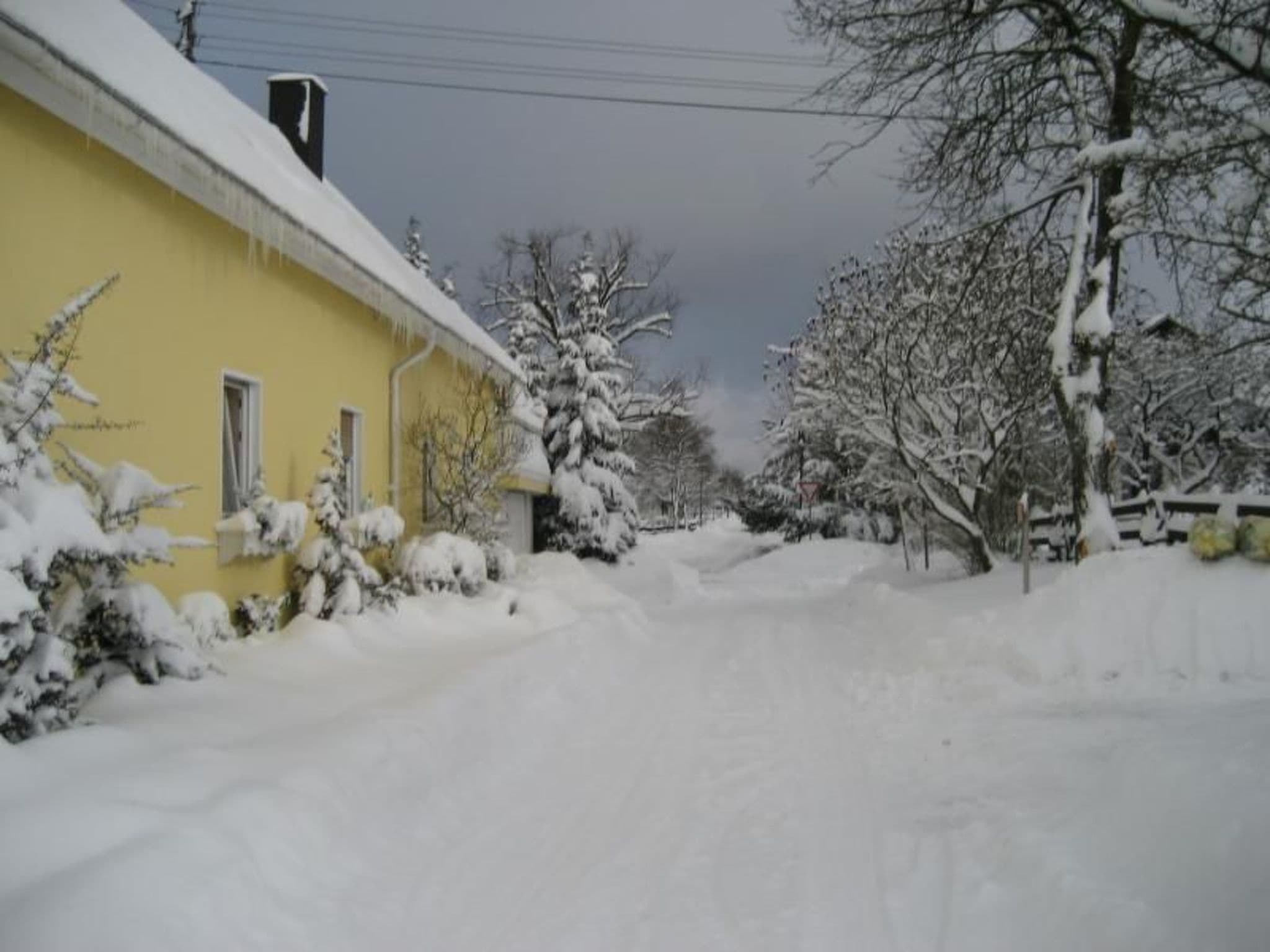 Gallery Image 20