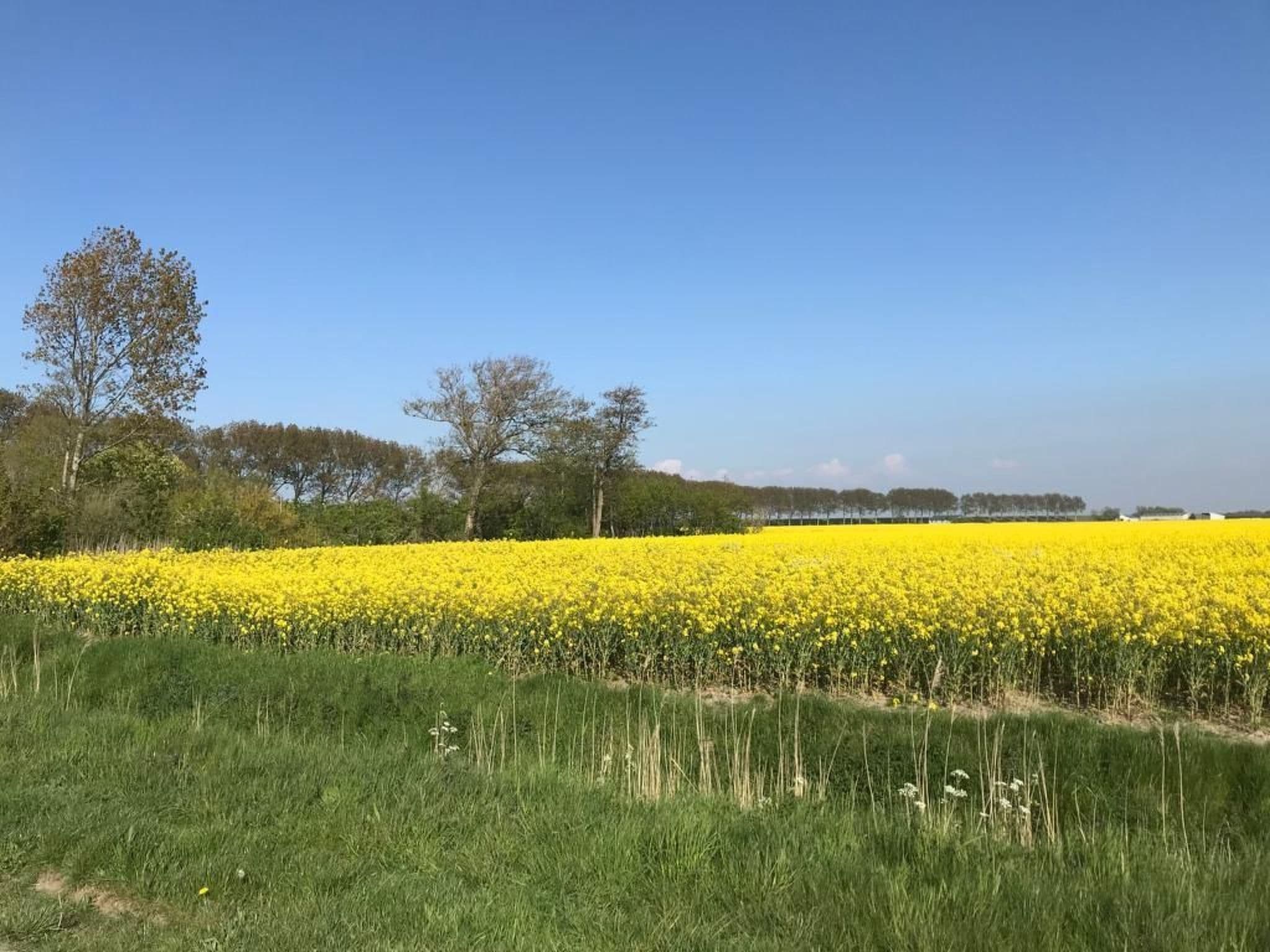 Gallery Image 31