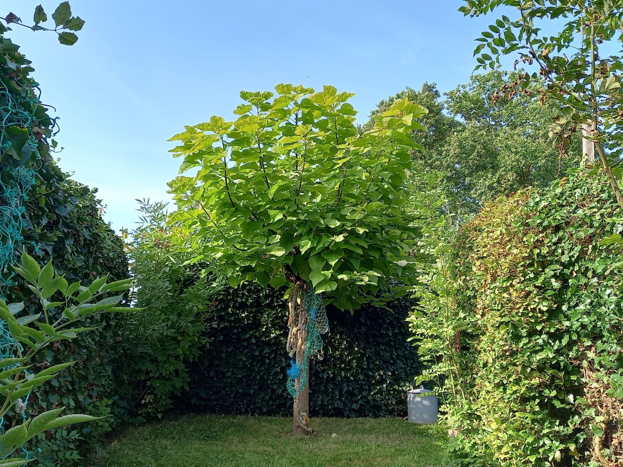 Gallery Image 16