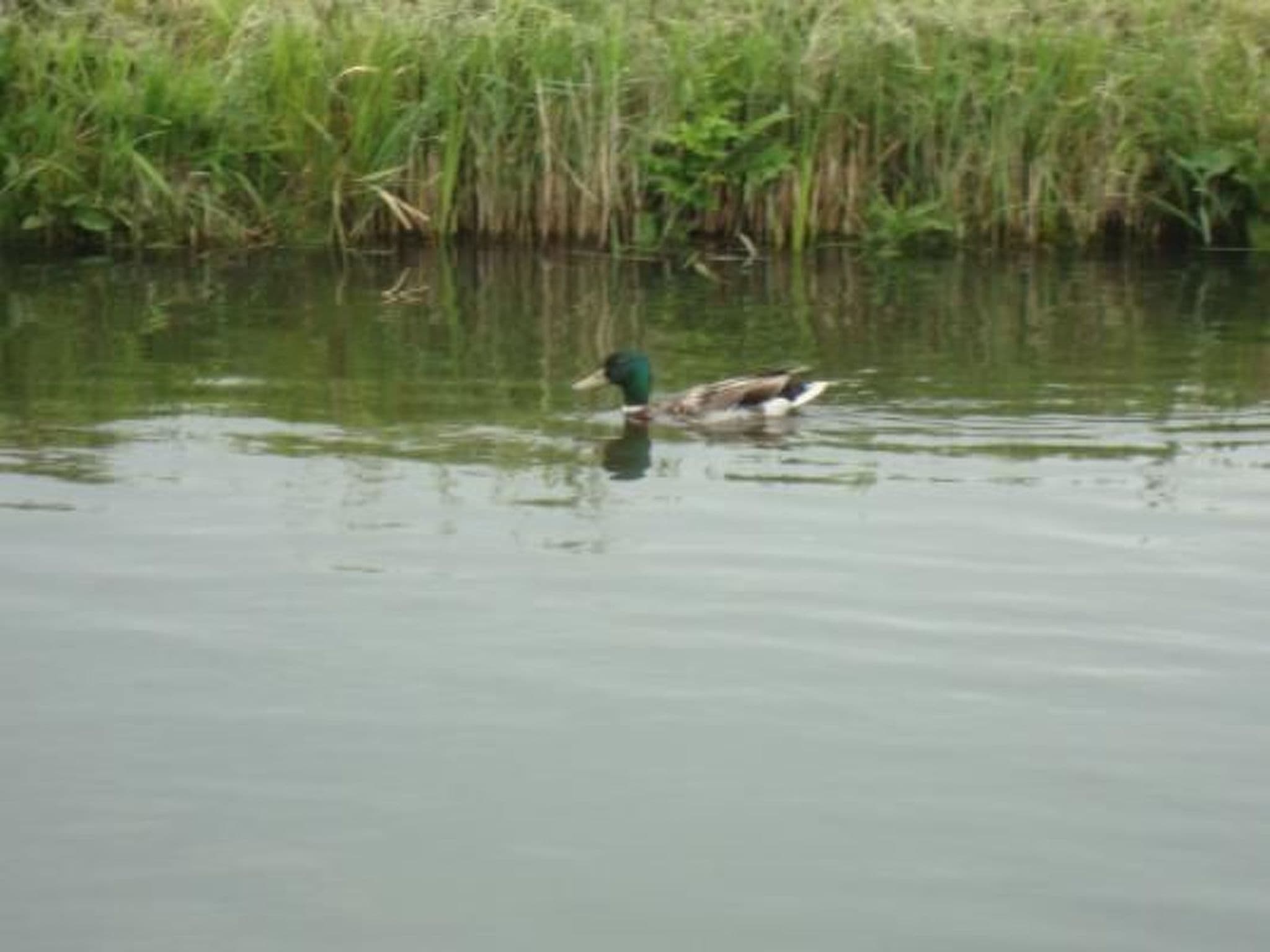 Gallery Image 32