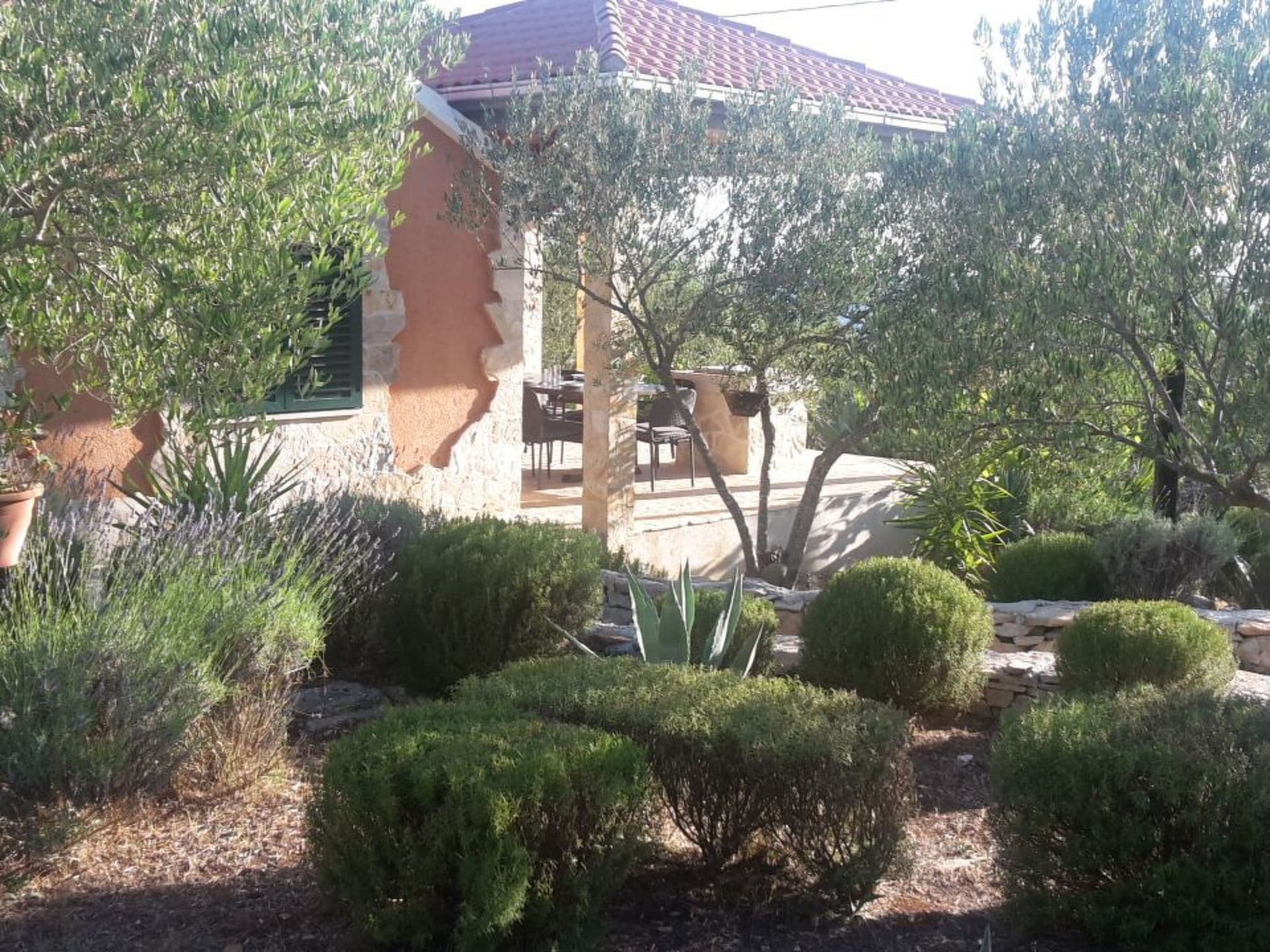 Gallery Image 9