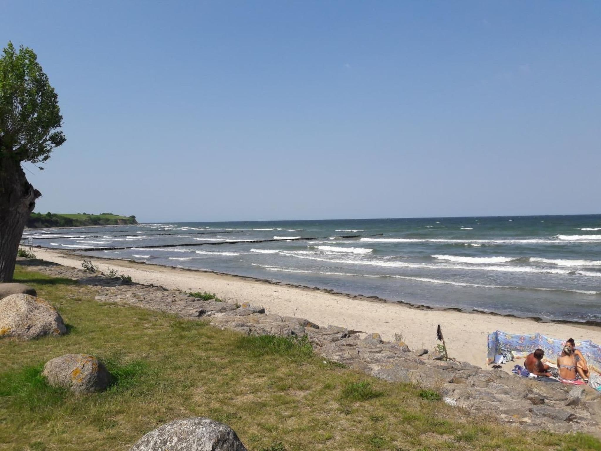 Gallery Image 11
