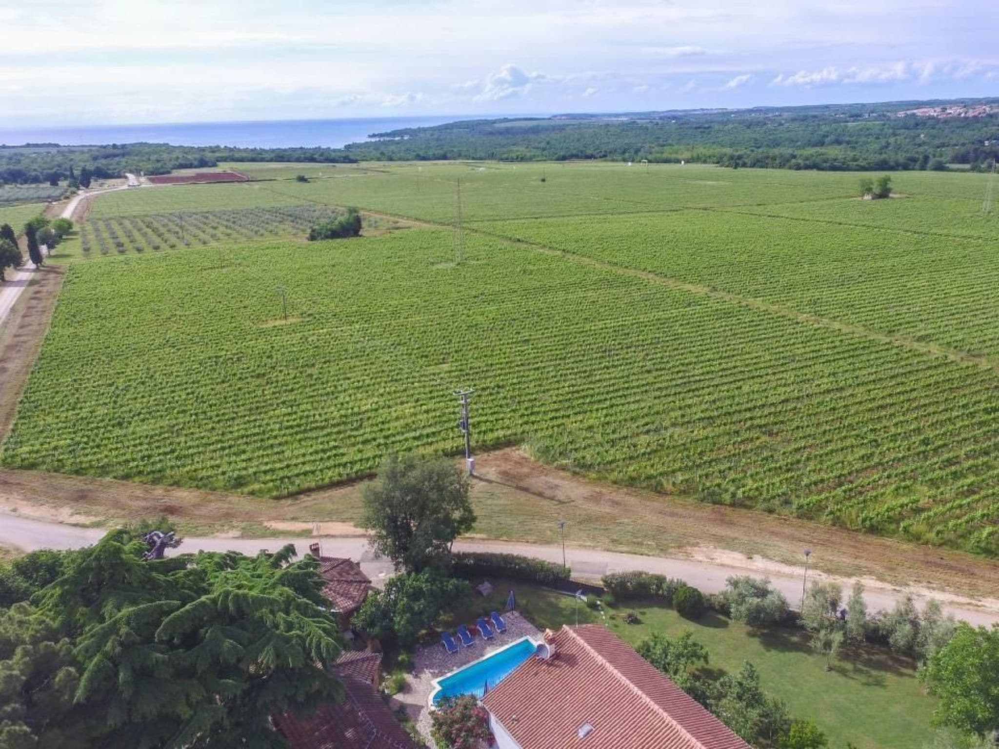 Aerial photography