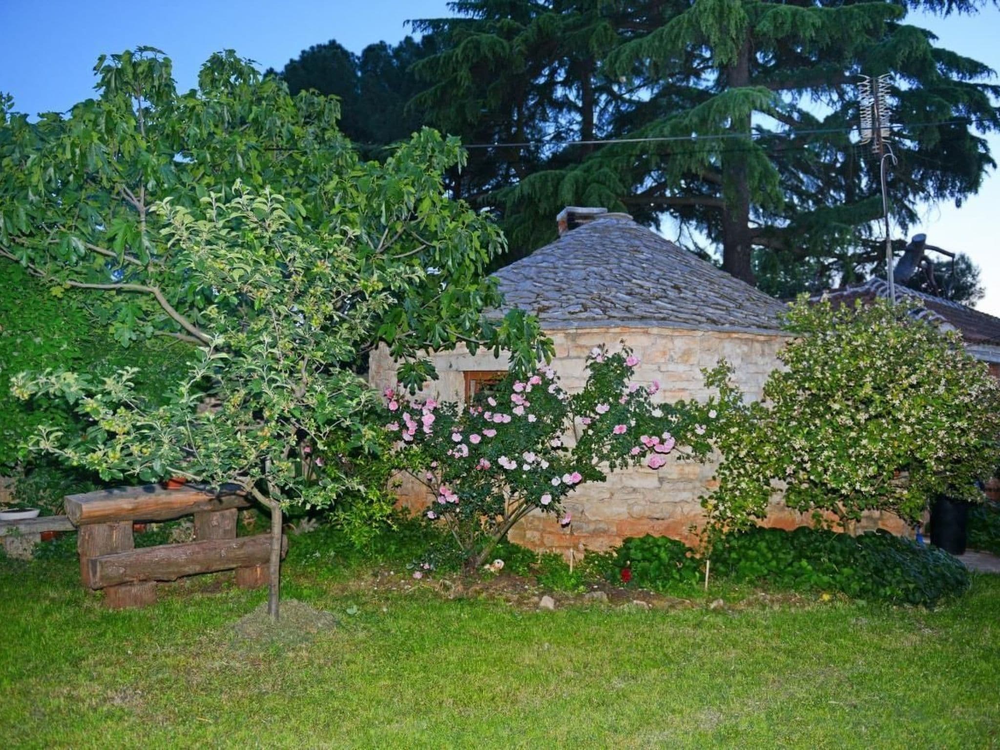 Gallery Image 36